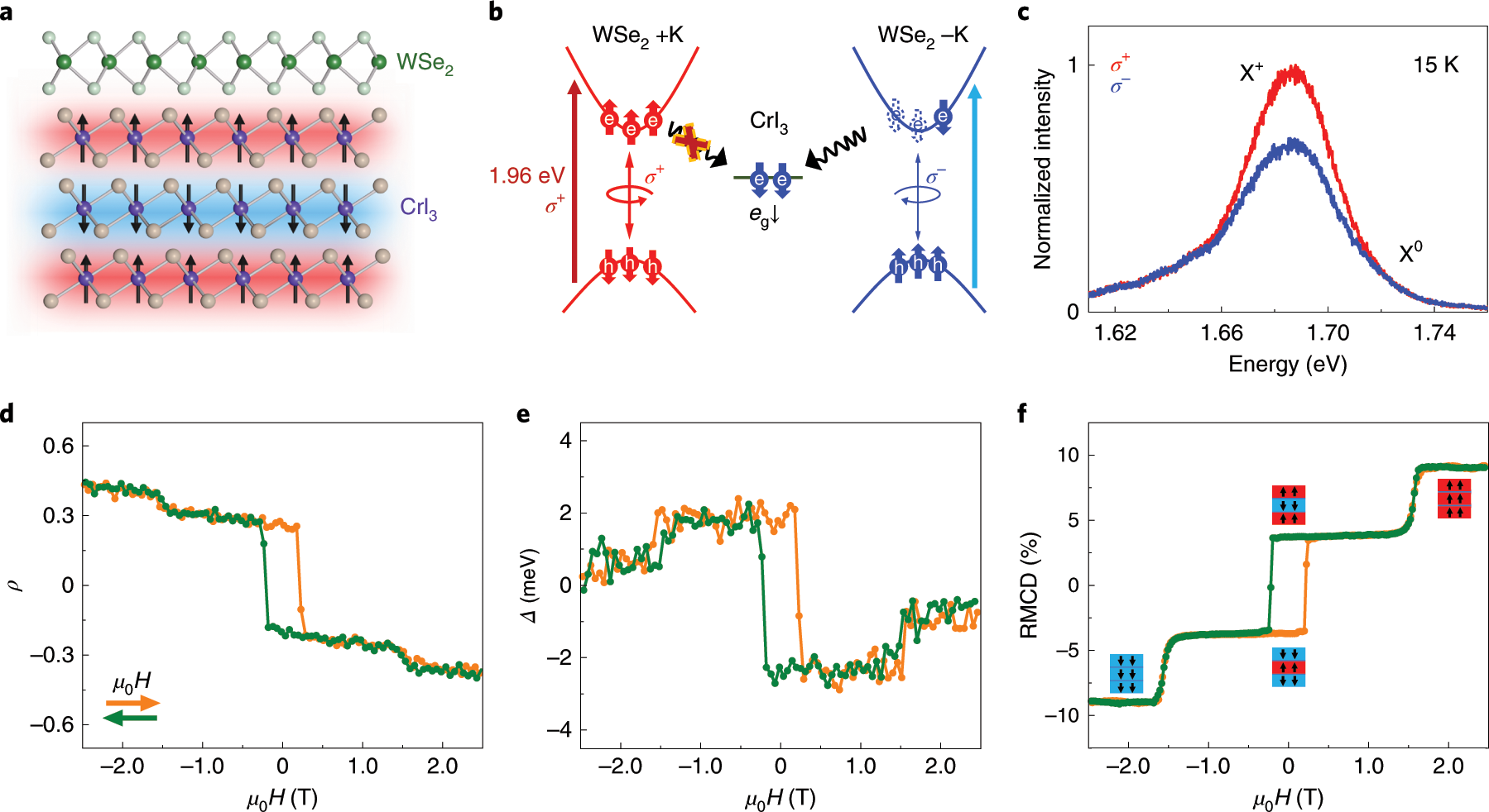 Layer-resolved magnetic proximity effect in van der Waals heterostructures  | Nature Nanotechnology