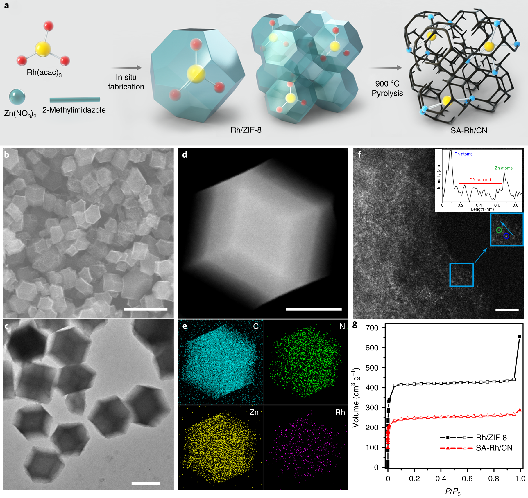 Single-atom Rh/N-doped carbon electrocatalyst for formic acid oxidation |  Nature Nanotechnology