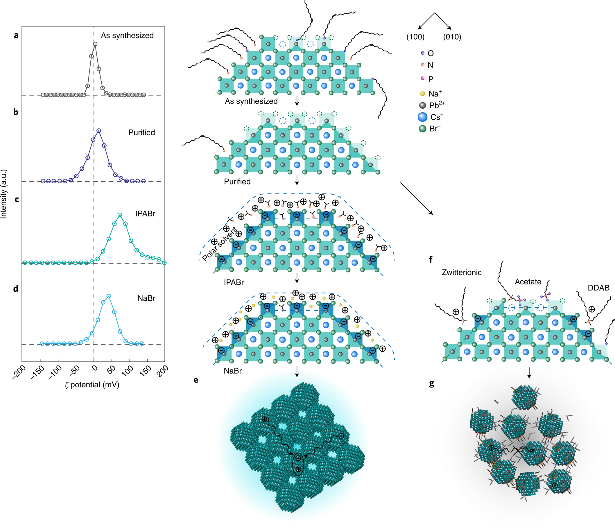 Bipolar Shell Resurfacing For Blue Leds Based On Strongly Confined Perovskite Quantum Dots Nature Nanotechnology