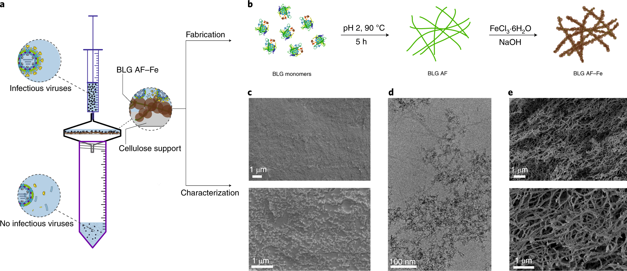 An antiviral trap made of protein nanofibrils and iron oxyhydroxide  nanoparticles | Nature Nanotechnology