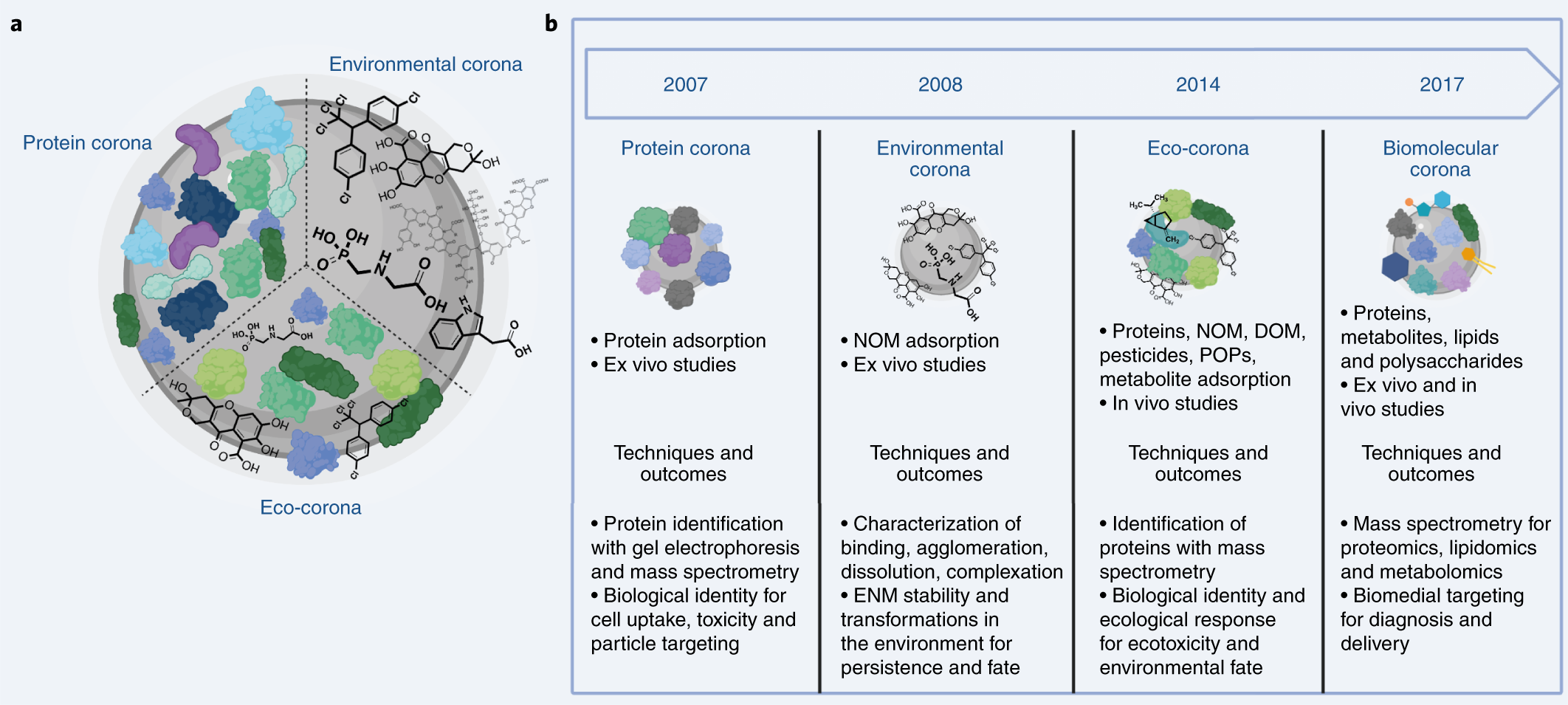 Environmental dimensions of the protein corona | Nature Nanotechnology