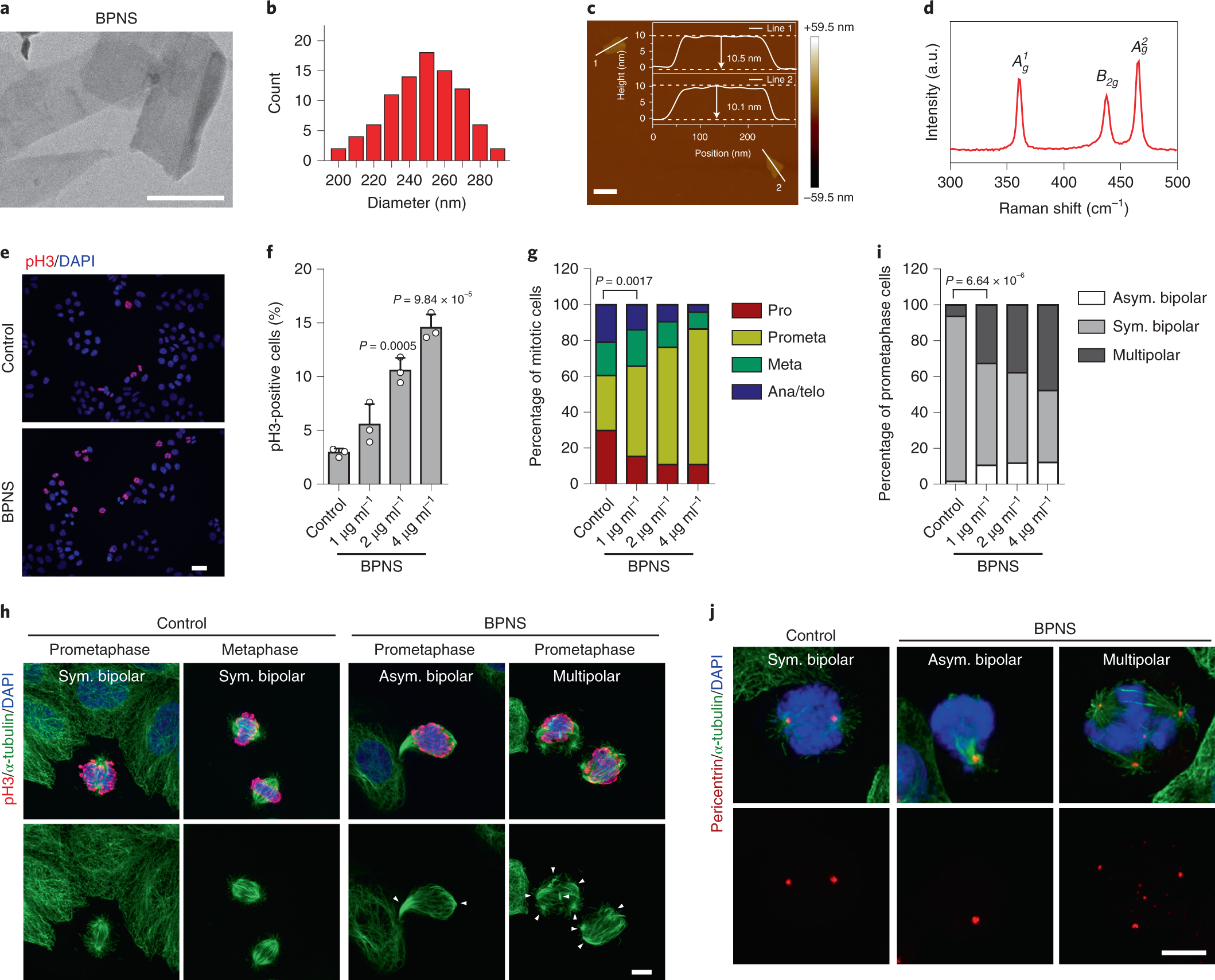 Intrinsic Bioactivity Of Black Phosphorus Nanomaterials On Mitotic Centrosome Destabilization Through Suppression Of Plk1 Kinase Nature Nanotechnology