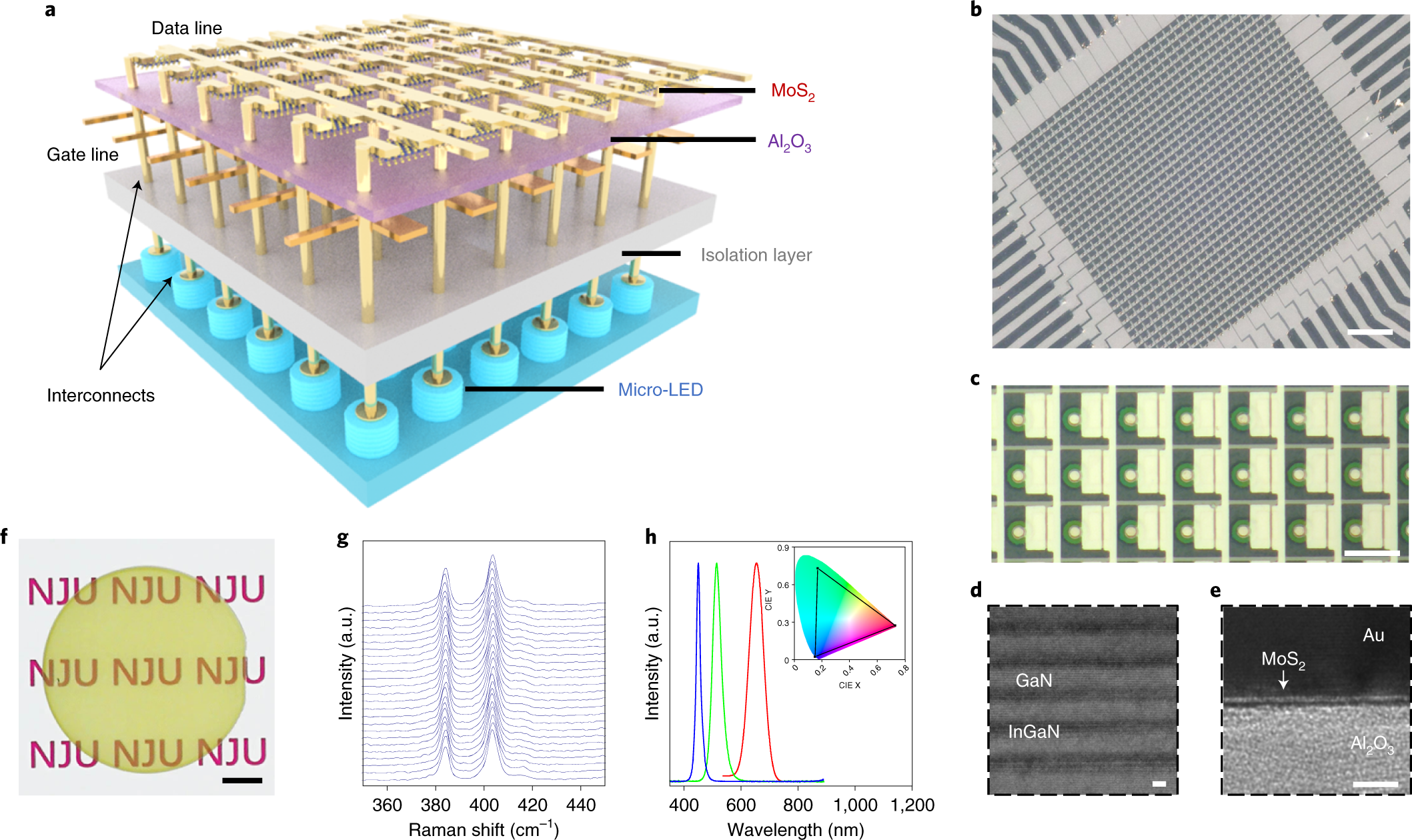 Mini-LED, Micro-LED and OLED displays: present status and future  perspectives