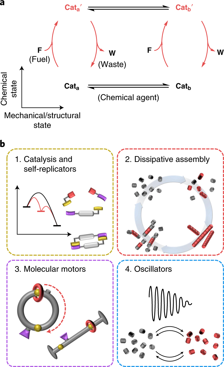 Chemical engines: driving systems away from equilibrium through catalyst  reaction cycles | Nature Nanotechnology