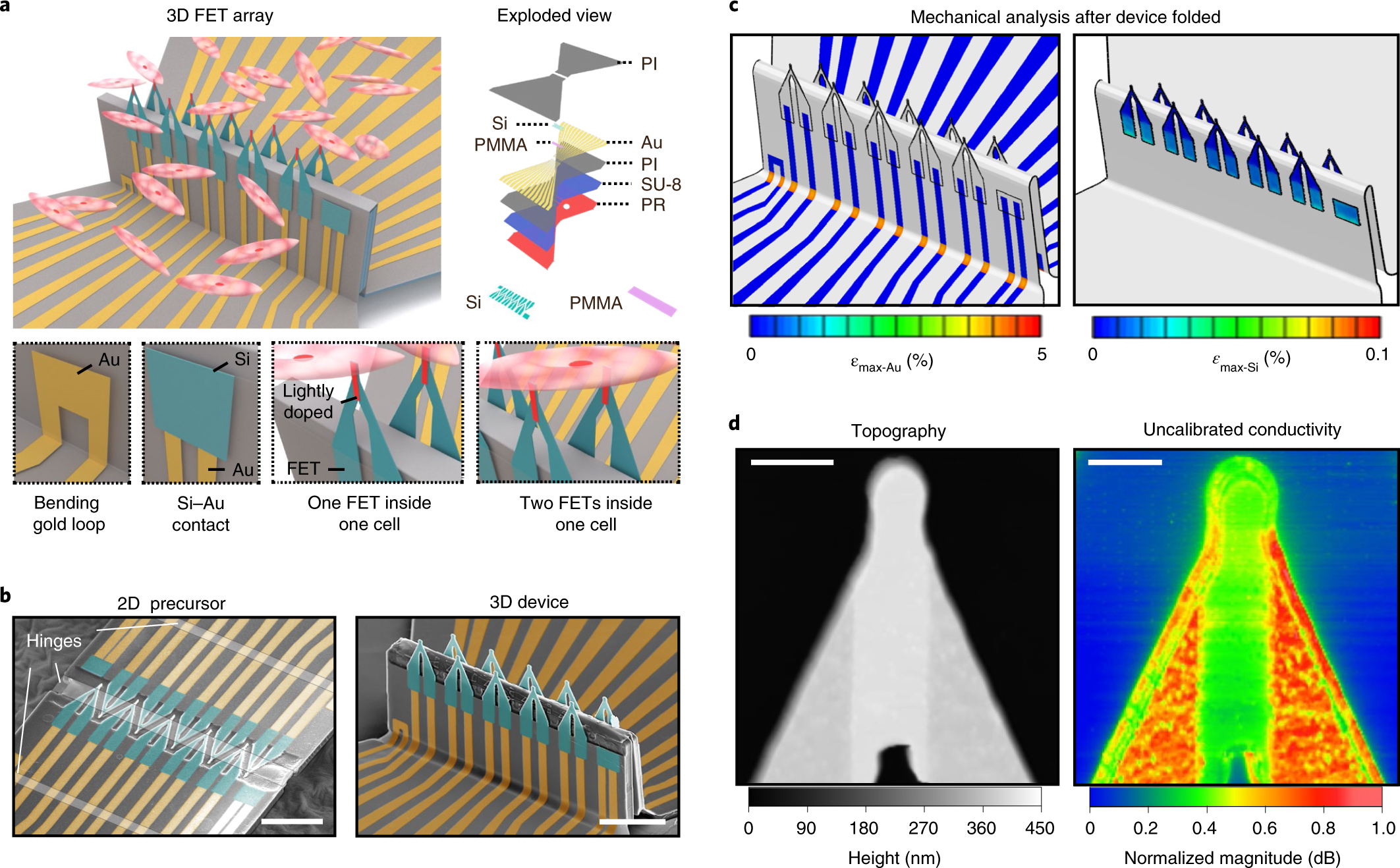 Three-dimensional transistor intra- and inter-cellular recording Nature