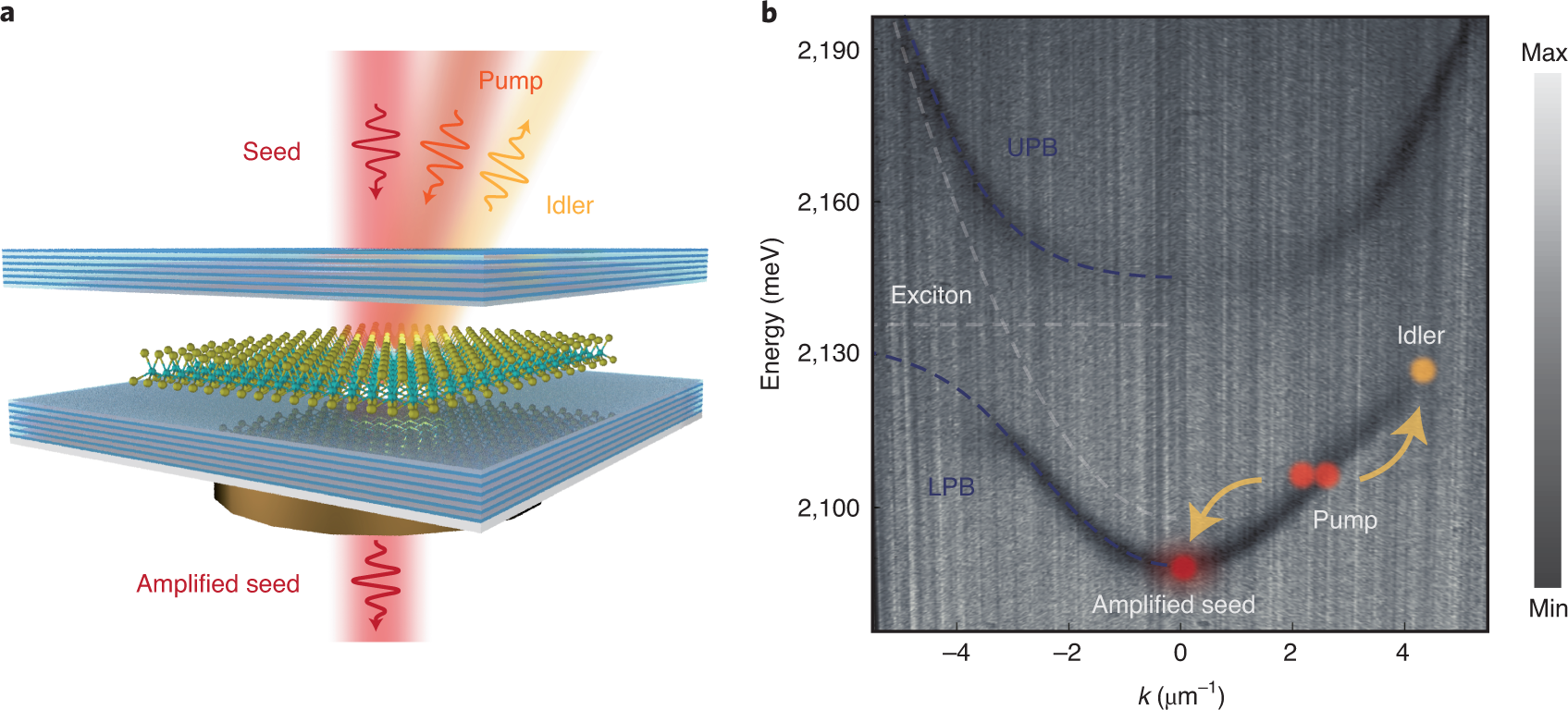 Parametric Nonlinearities
