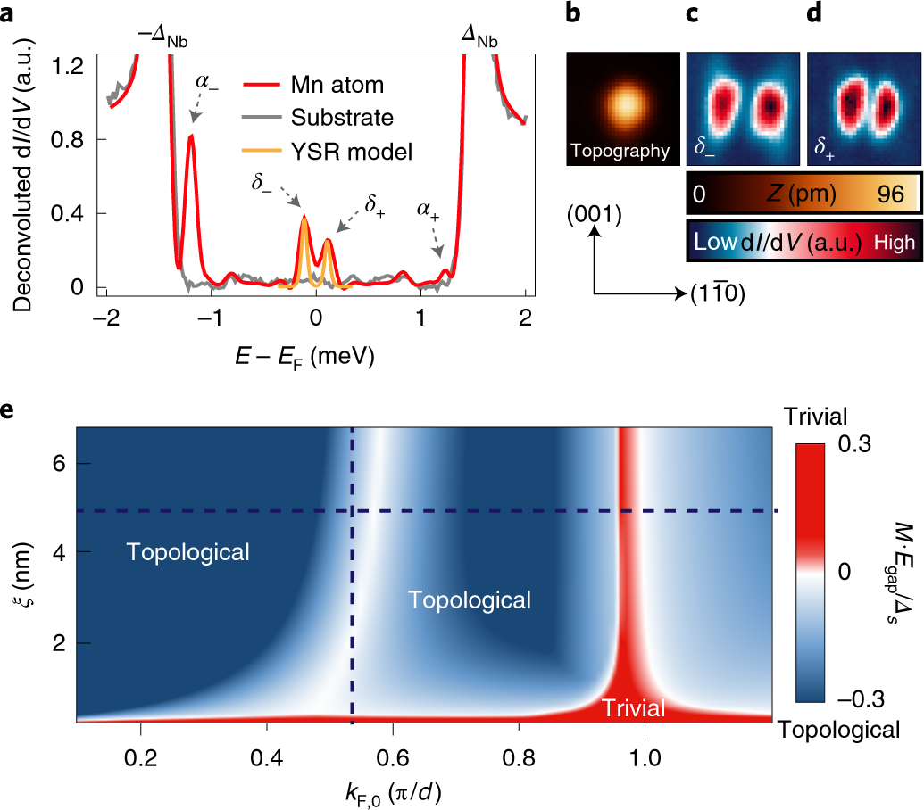 Precursors of Majorana modes and their length-dependent energy oscillations  probed at both ends of atomic Shiba chains | Nature Nanotechnology