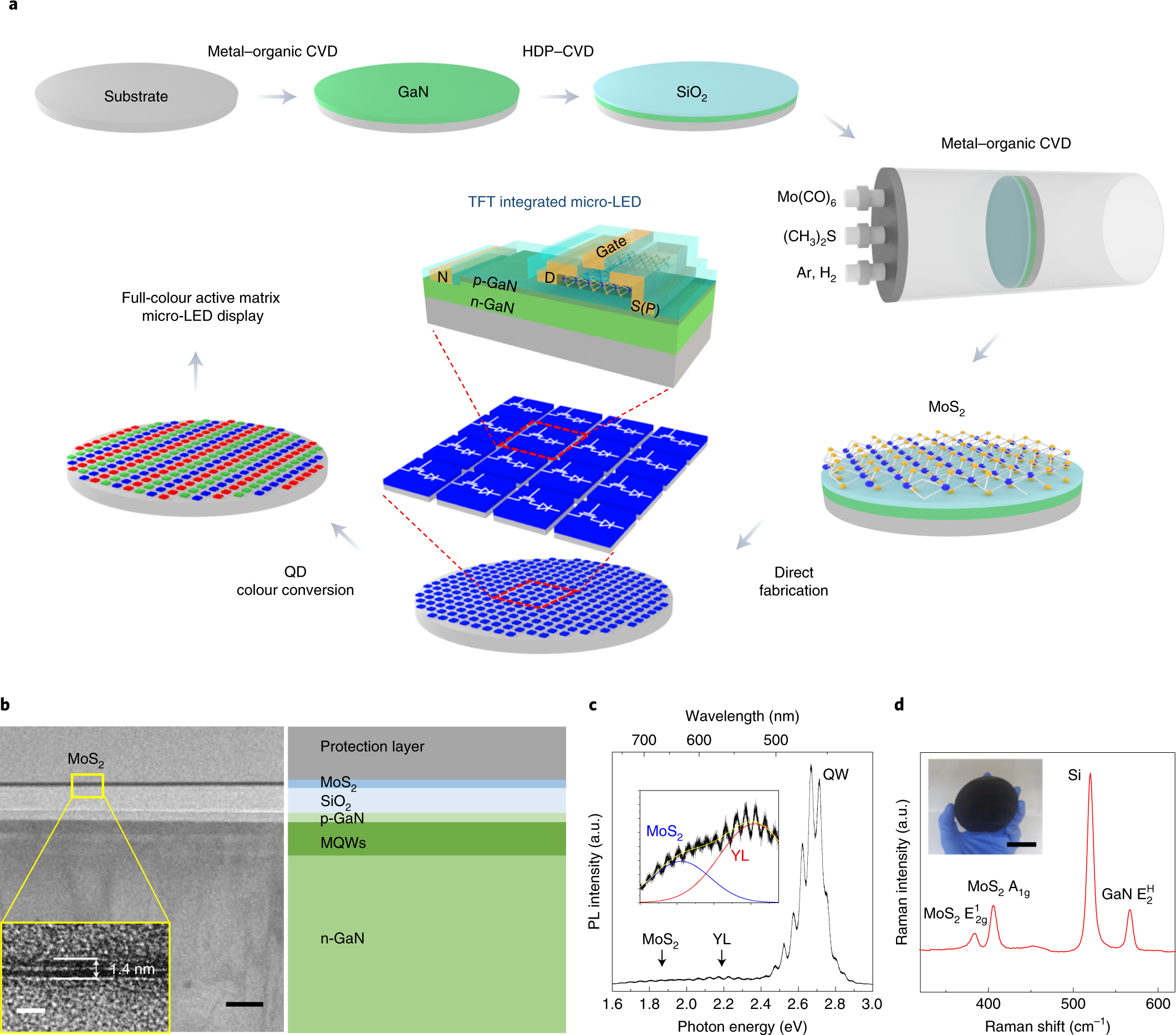Wafer-scale monolithic integration of full-colour micro-LED display using  MoS2 transistor