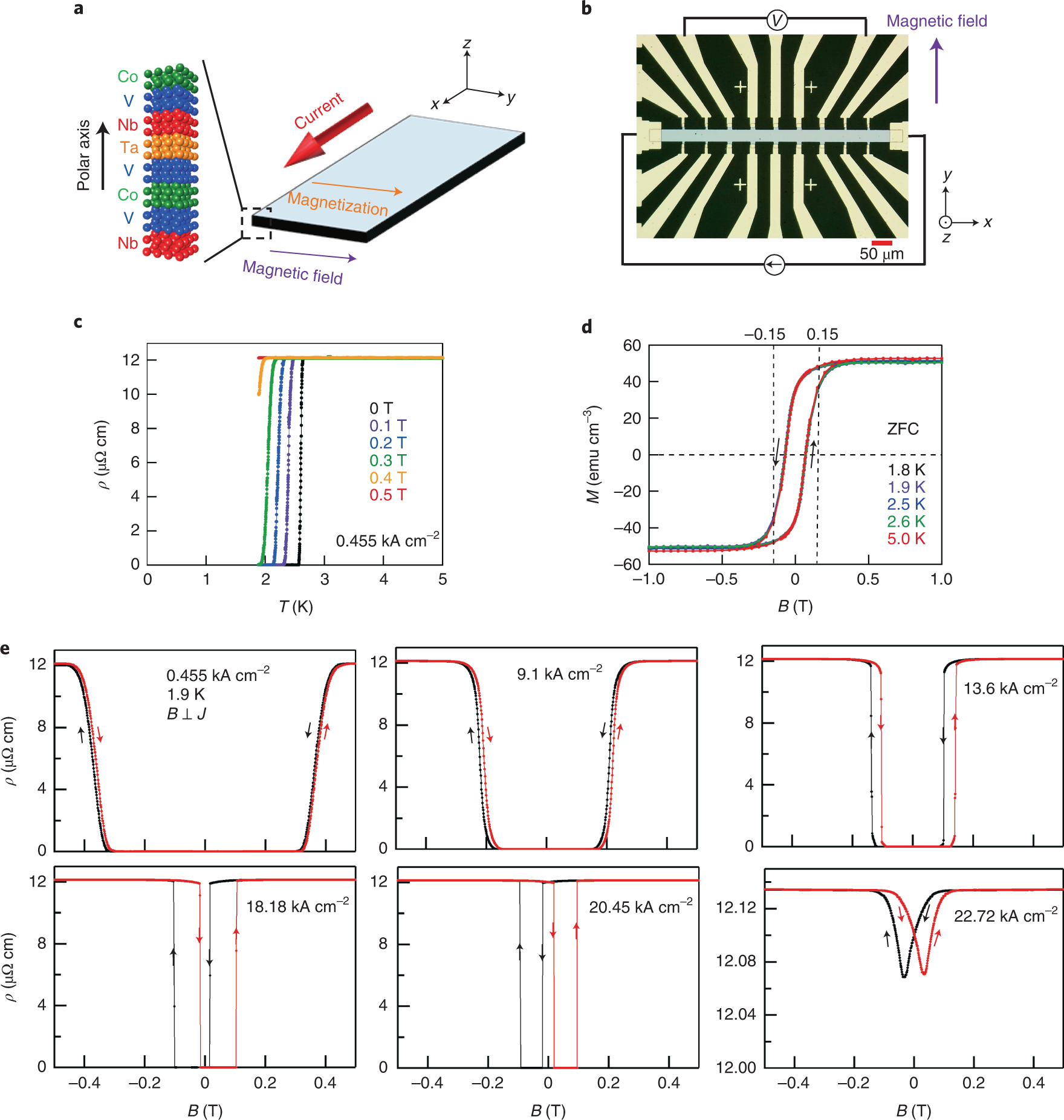 Field-free superconducting diode effect in noncentrosymmetric