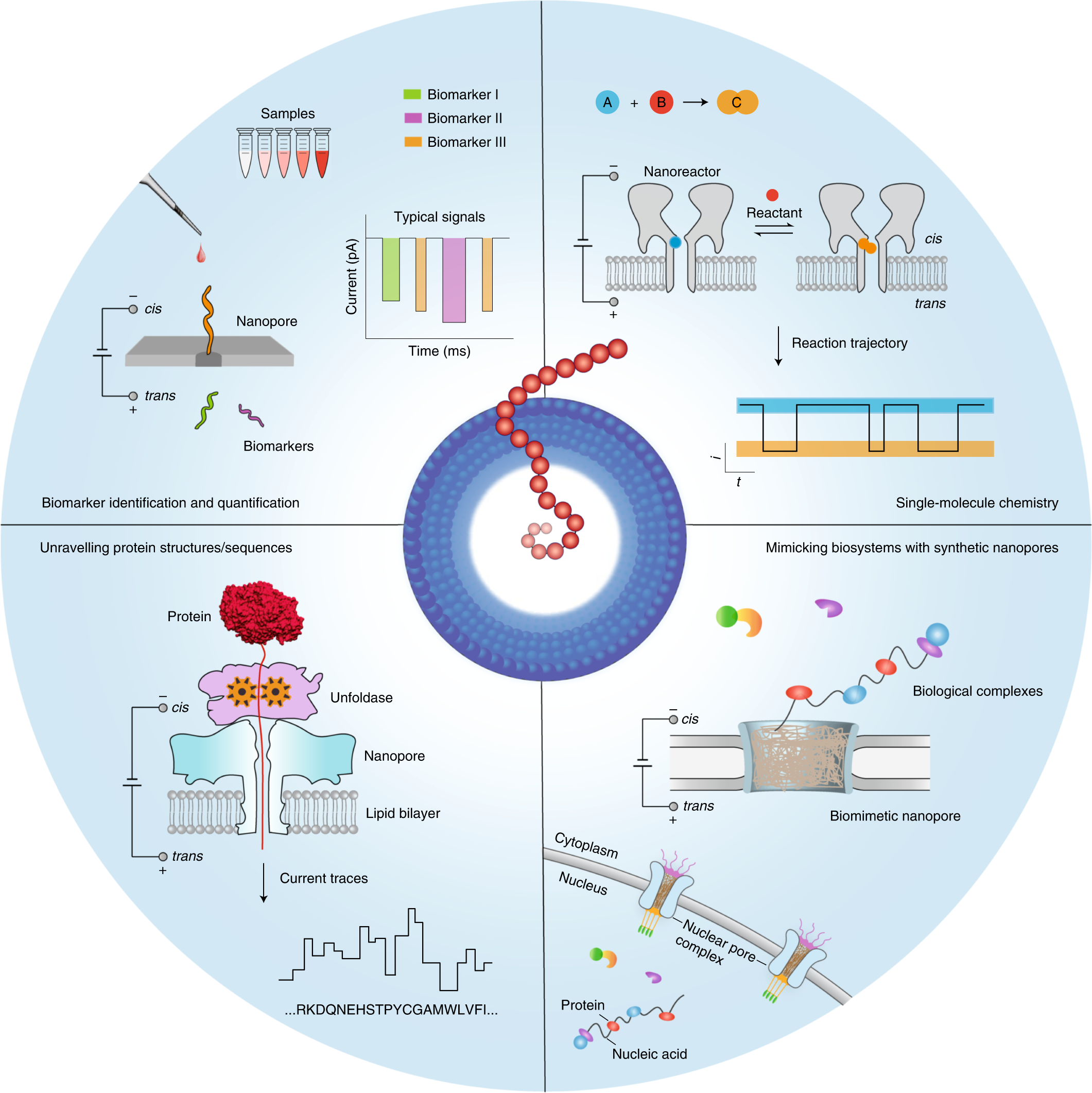 Modulation of Mechanical Properties of Short Bioinspired Peptide Materials  by Single Amino-Acid Mutations