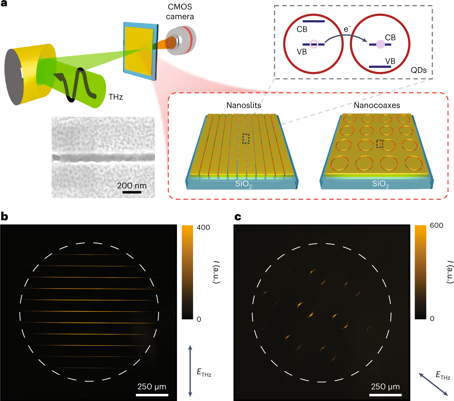 A room-temperature polarization-sensitive CMOS terahertz camera based on  quantum-dot-enhanced terahertz-to-visible photon upconversion | Nature  Nanotechnology
