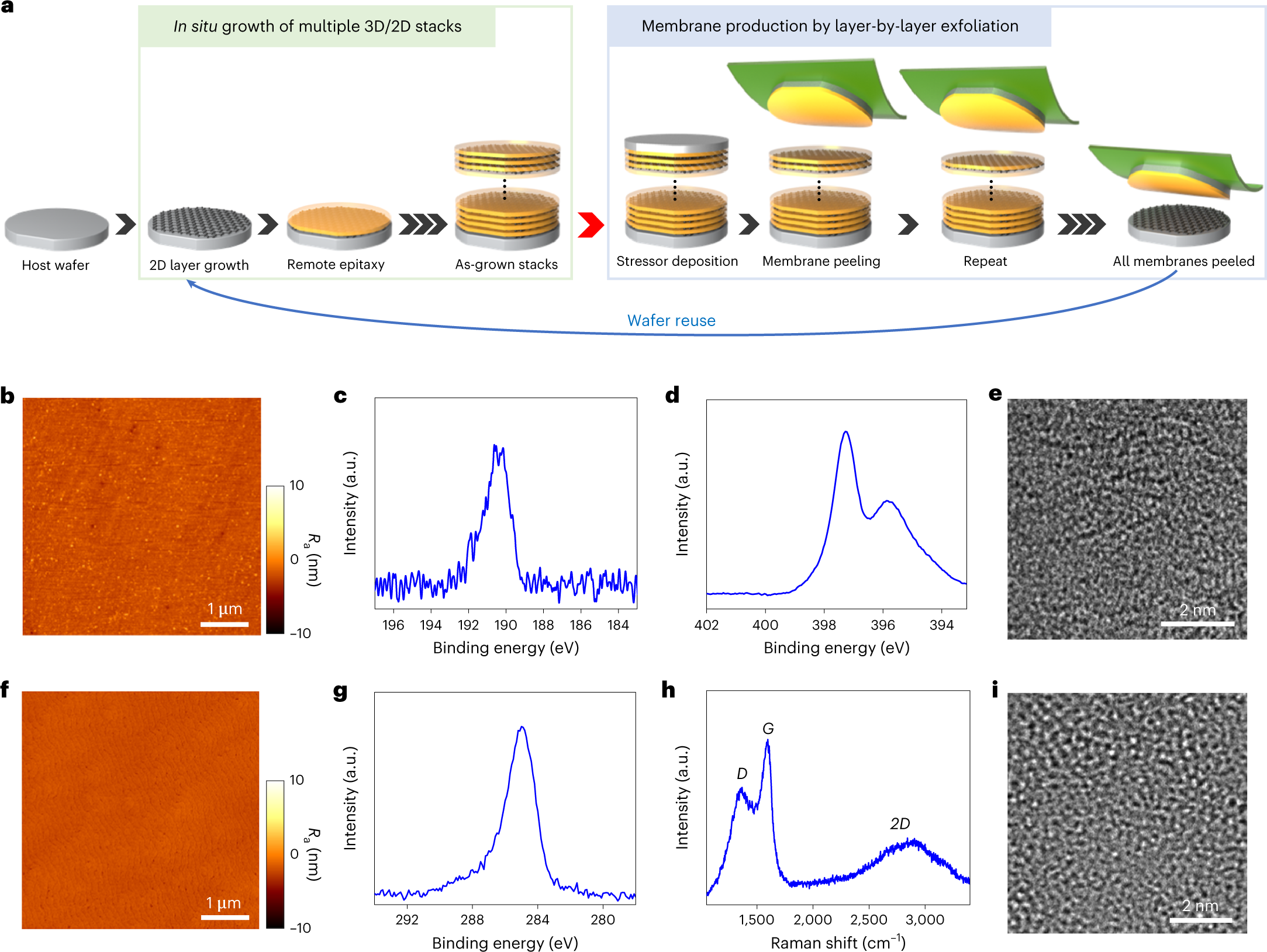 High-throughput manufacturing of epitaxial membranes from a single 