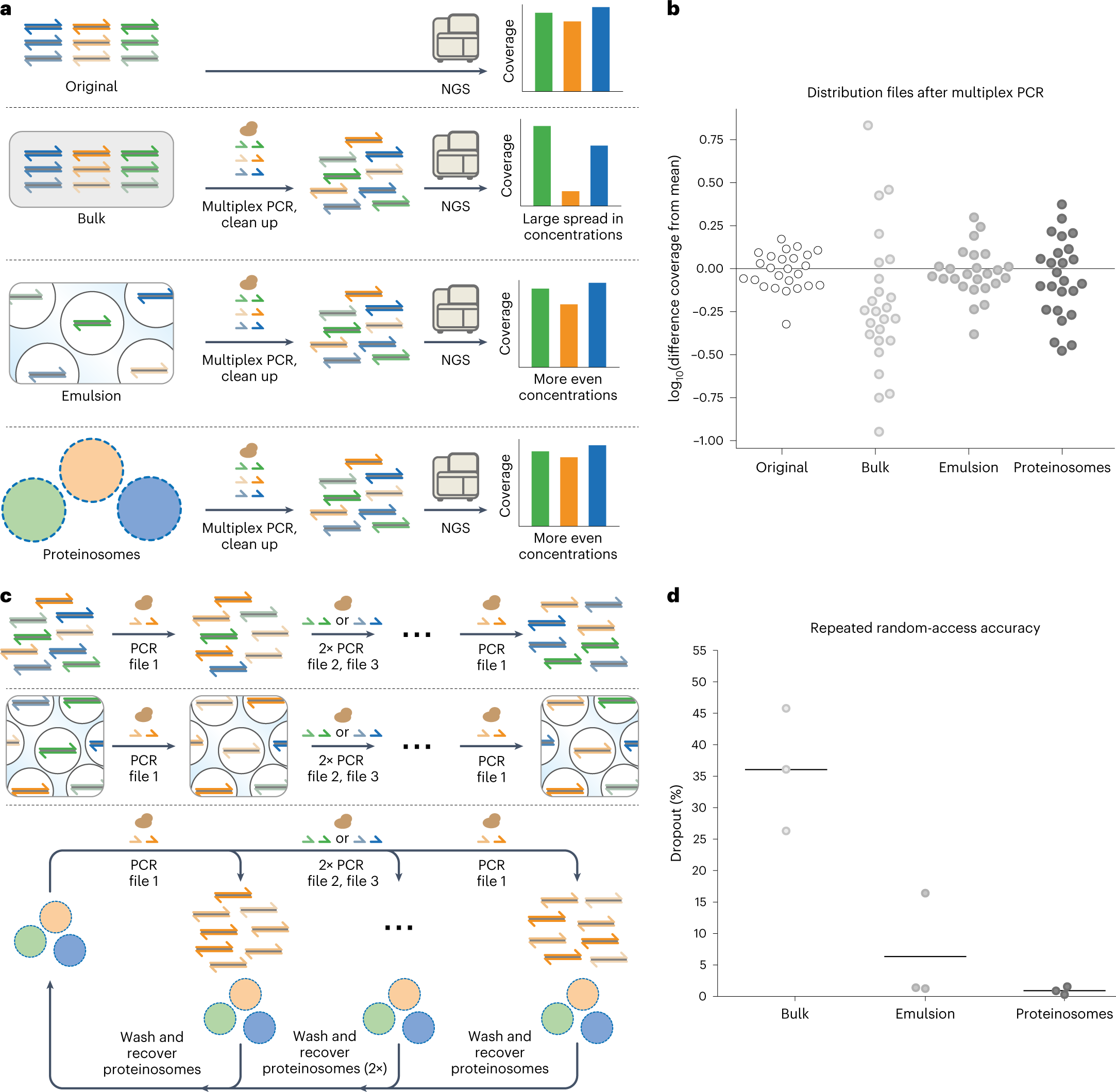 Fig. 5: Multiplex PCR and repeated access of DNA-encoded files within proteinosomes.