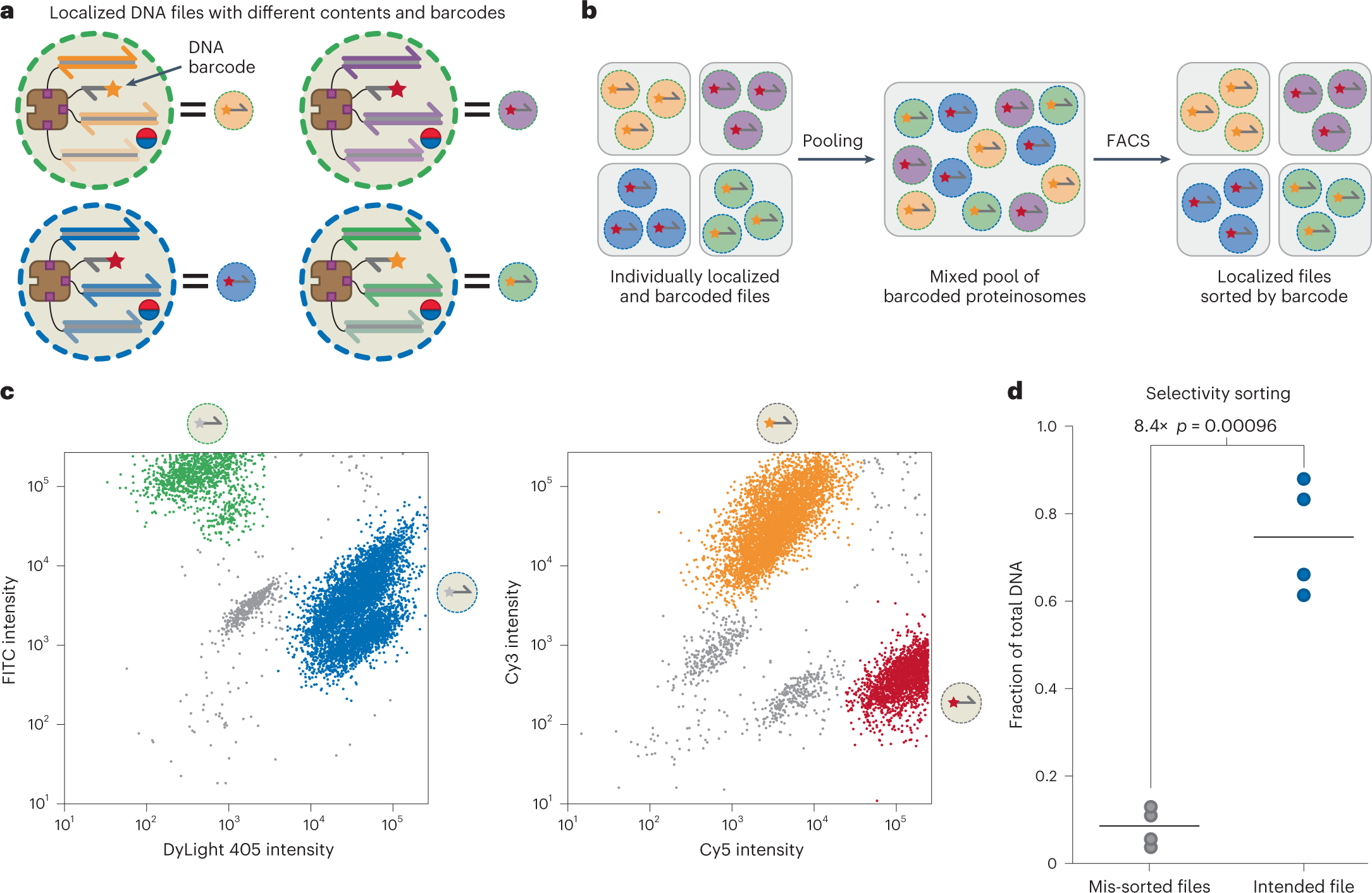 Fig. 6: Fluorescence-assisted sorting of proteinosomes for selective file retrieval.