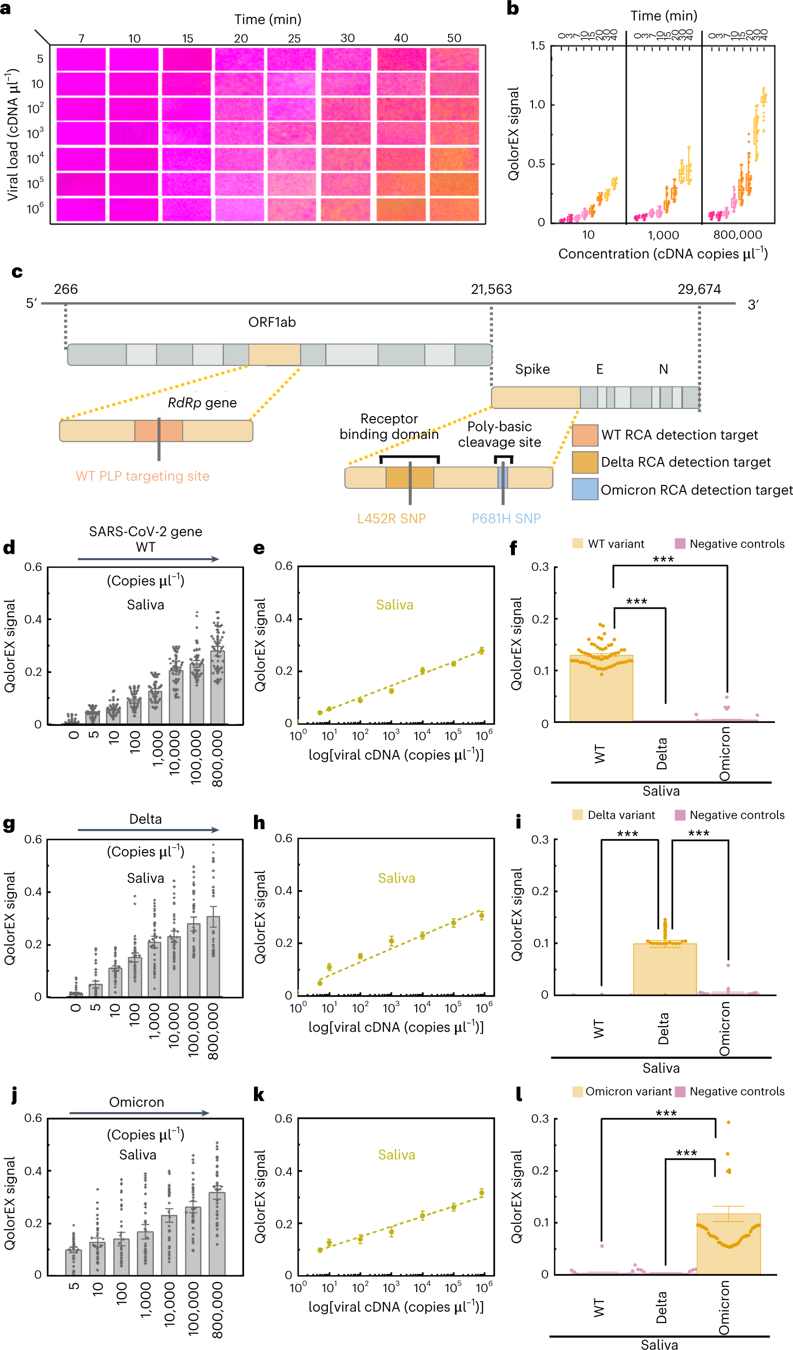 Fig. 5: QolorEX RCA analytical sensitivity and selectivity in human saliva.