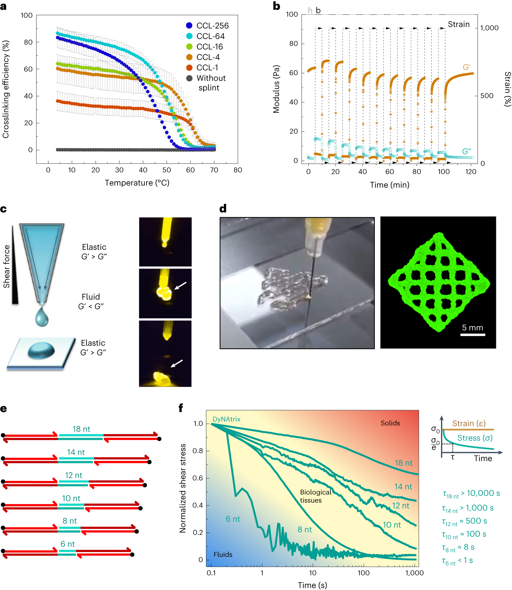 Fig. 3: Thermoreversibility, self-healing, bioprinting and tunable stress-relaxation of DyNAtrix.