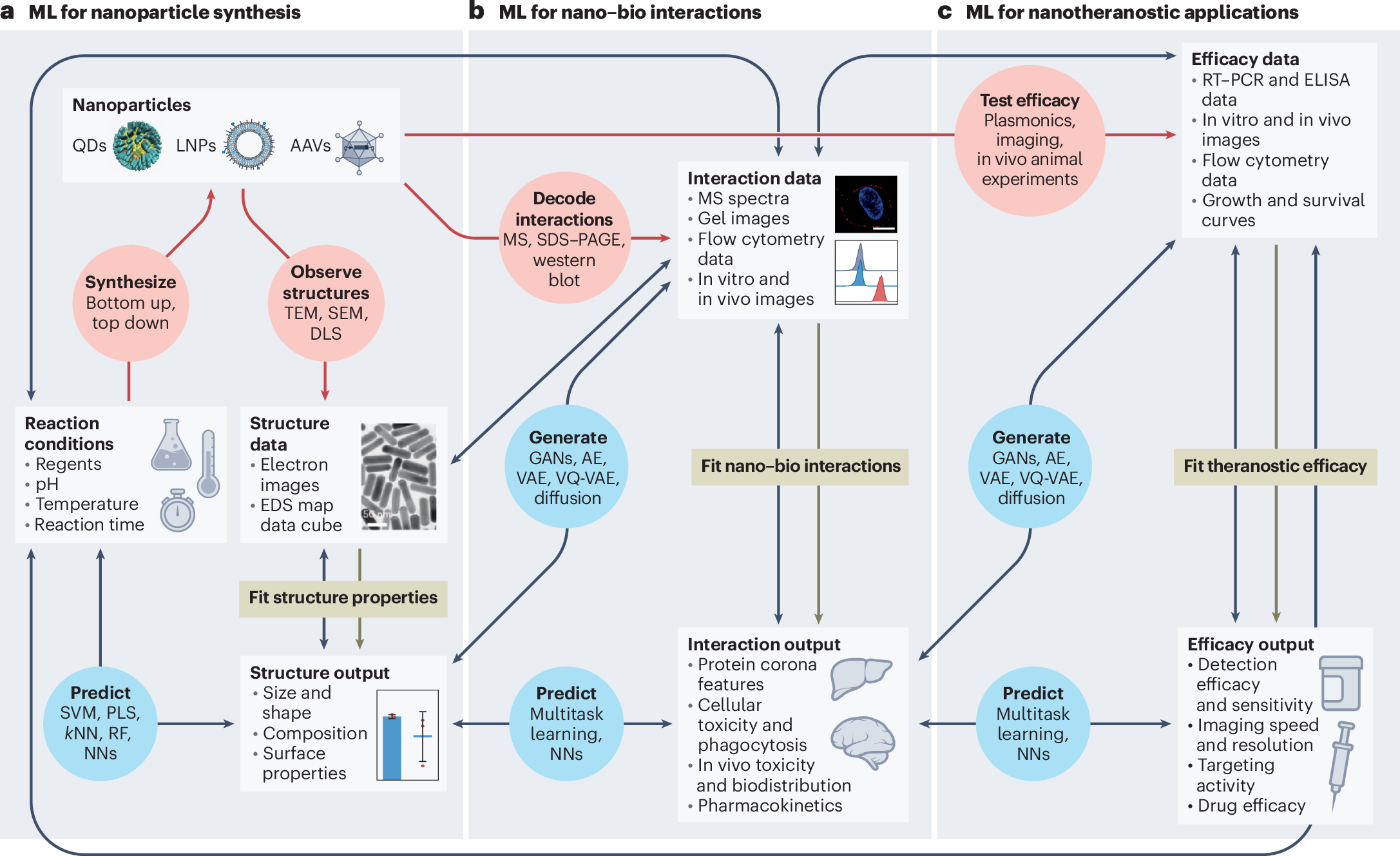 Workflow for machine learning-aided nanotheranostics