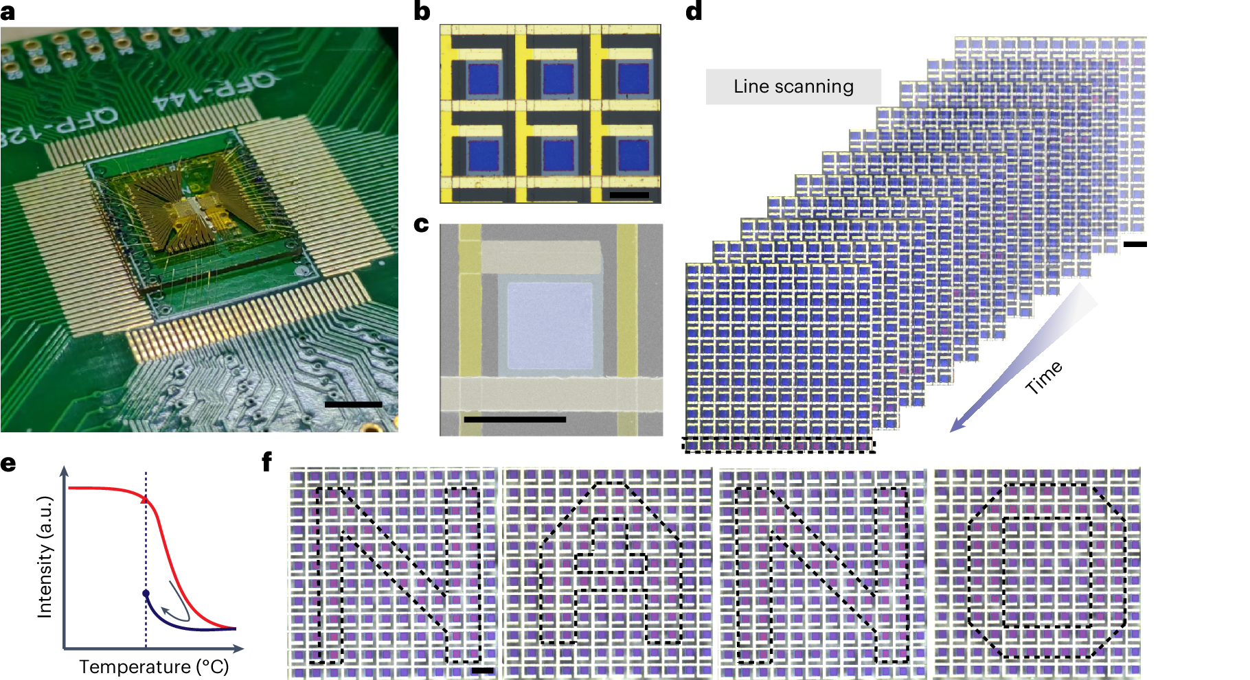 Fig. 5: Demonstration of a structural colour display.