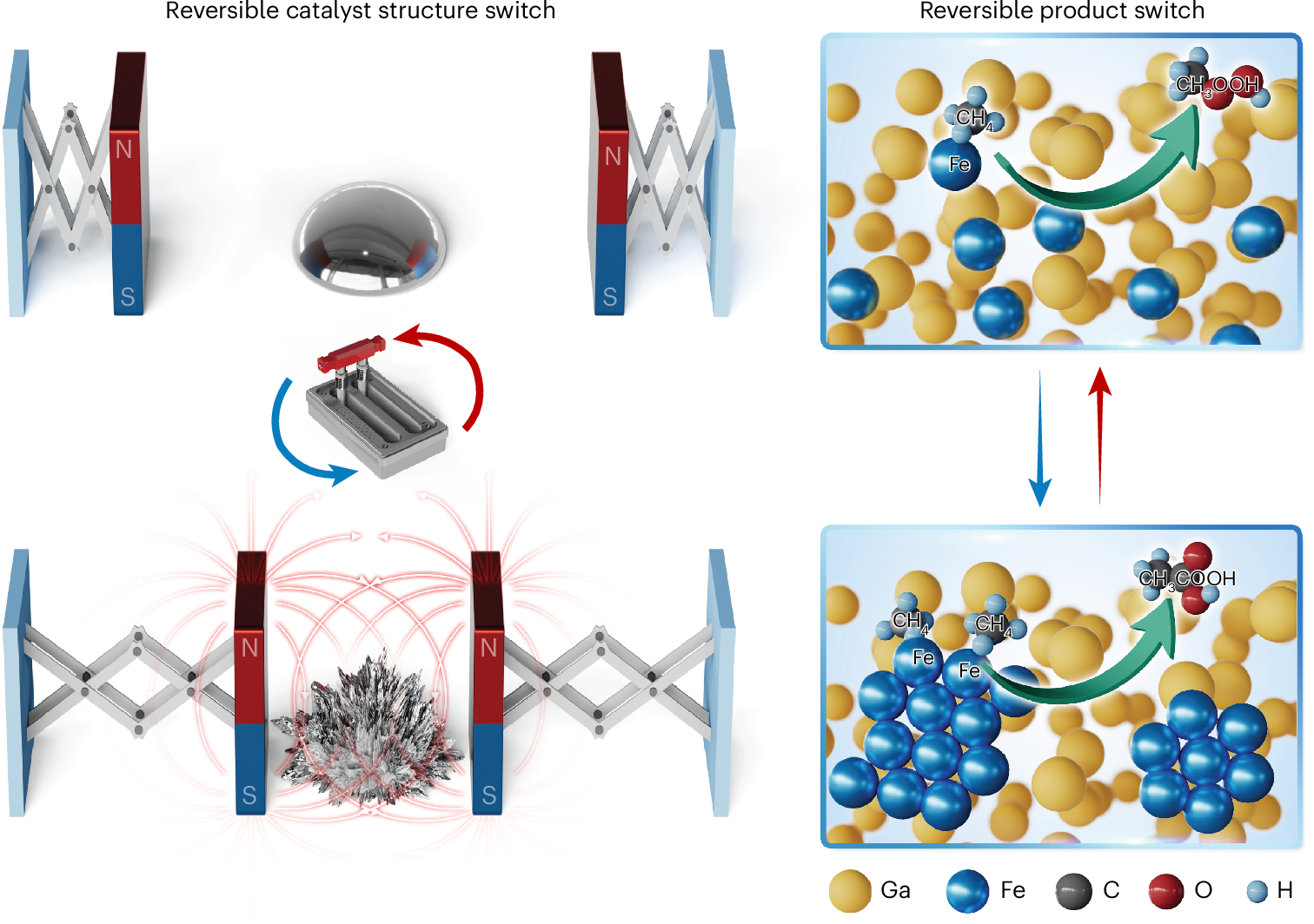 Fig. 1: Schematic of the mechanism.