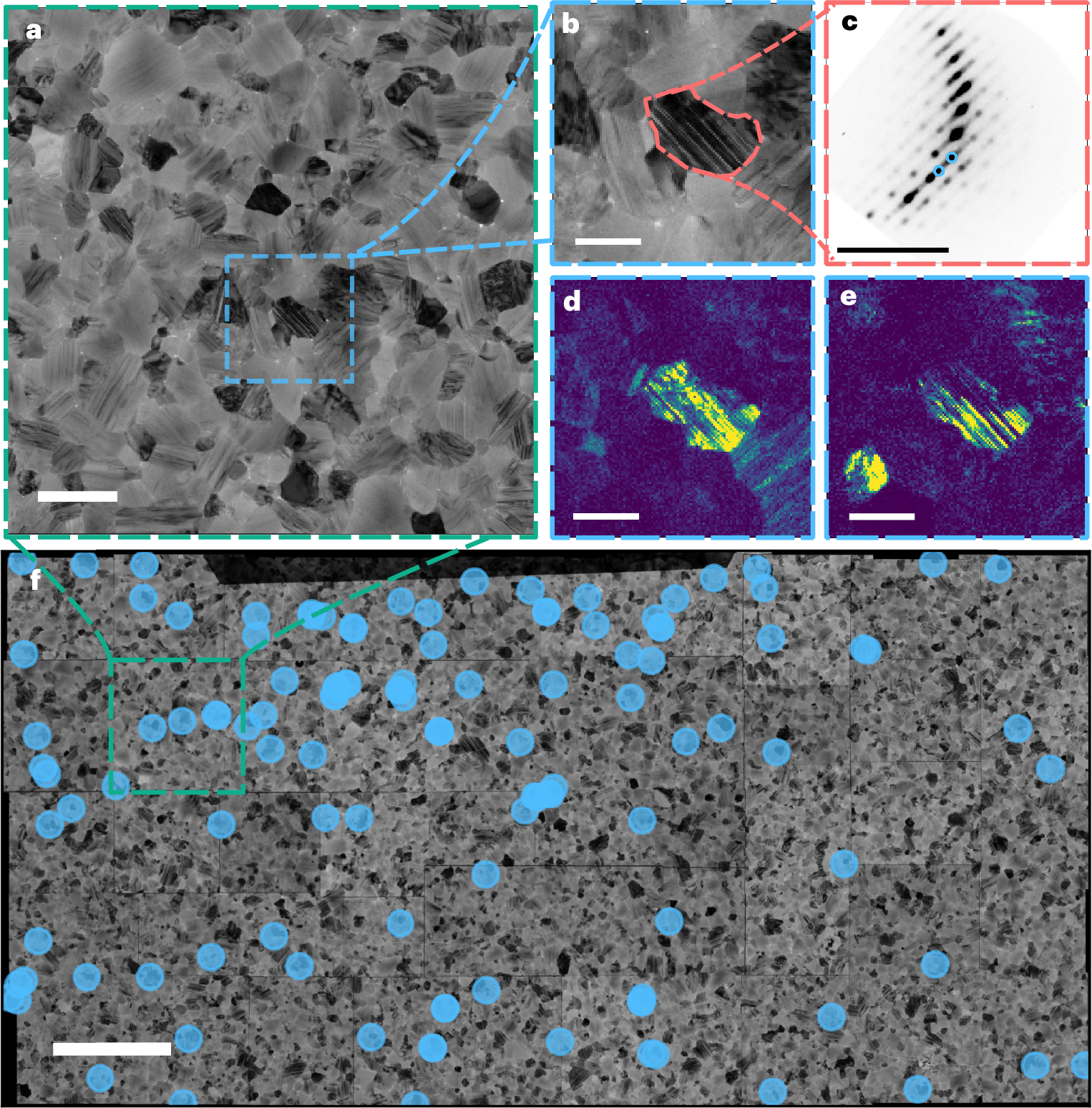 Fig. 3: {111}c-type nanotwinning is ubiquitous in bulk FAPbI3 thin films as observed via spatial nanoscale structural maps.