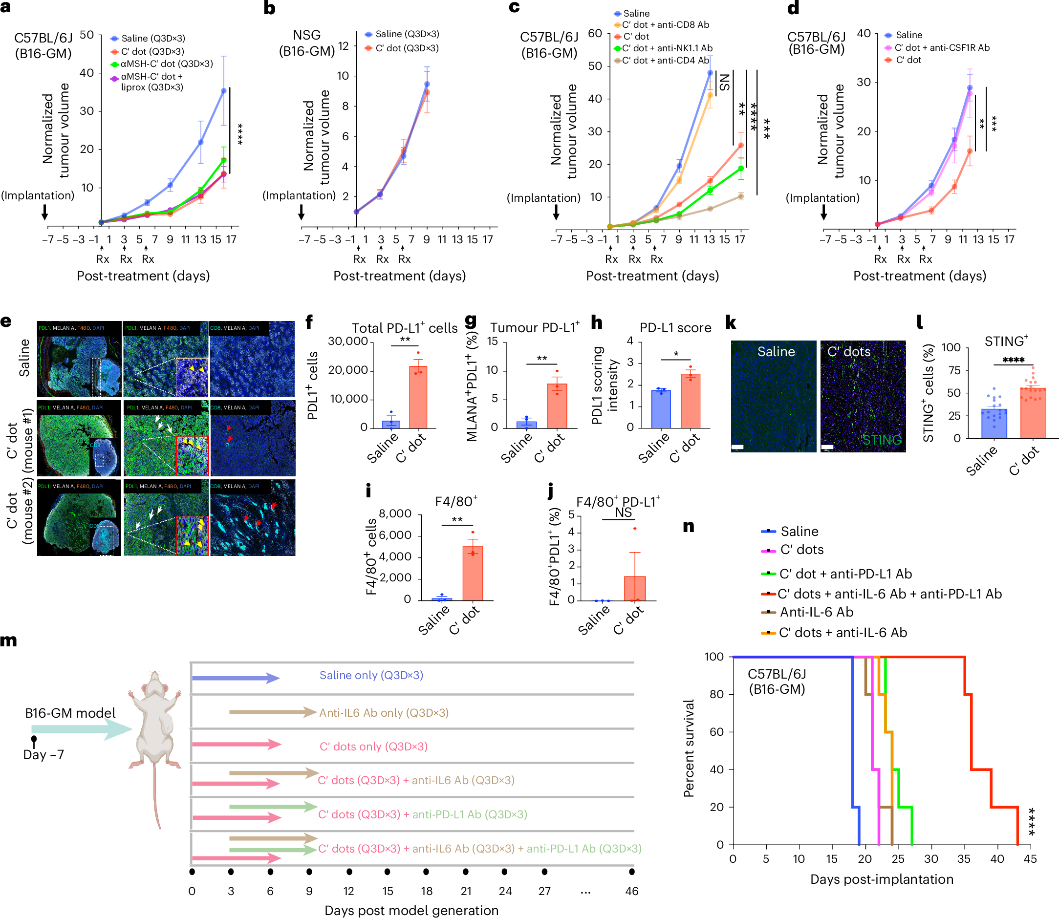 Fig. 6: Cytotoxic CD8+ T cells and myeloid cell populations drive tumour volume regression in the absence of ferroptosis and enhanced PD-L1 in the B16-GM model.