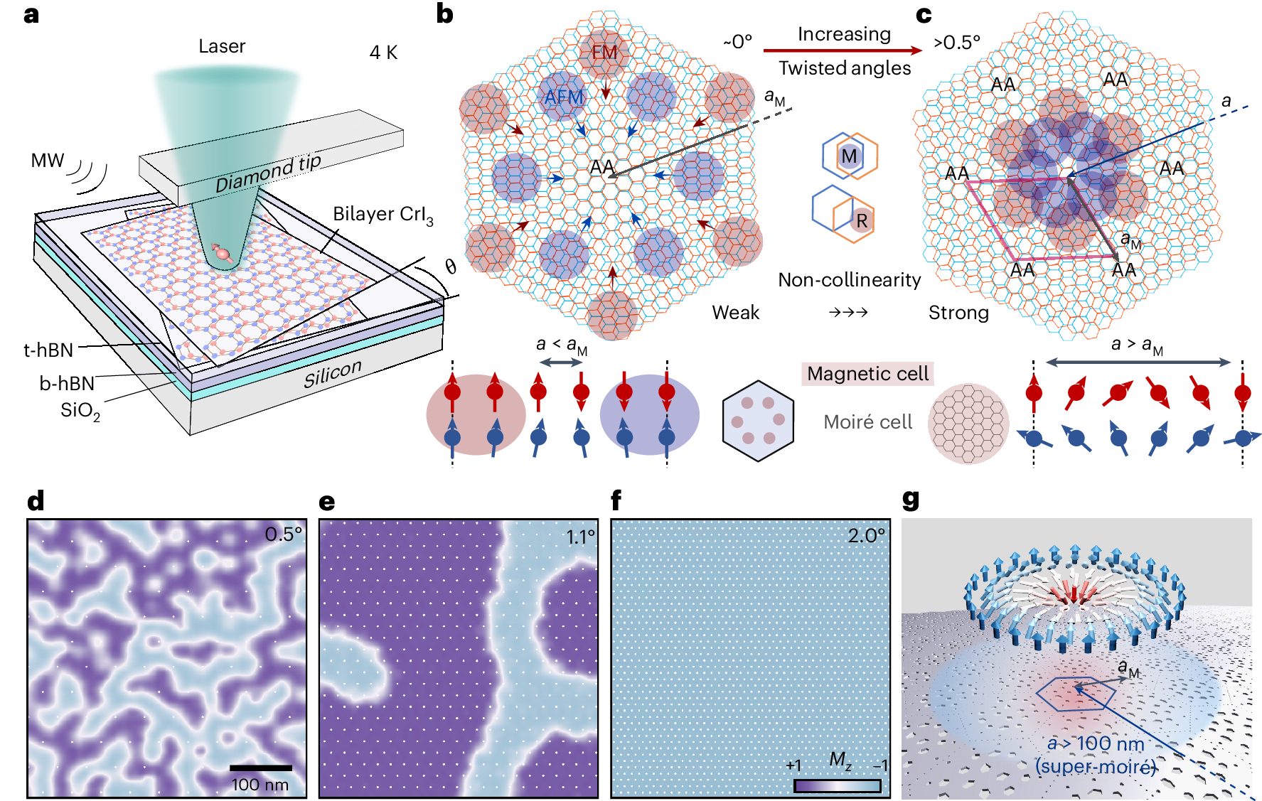 Fig. 1: Evolution of competing magnetic orders in tDB CrI3.
