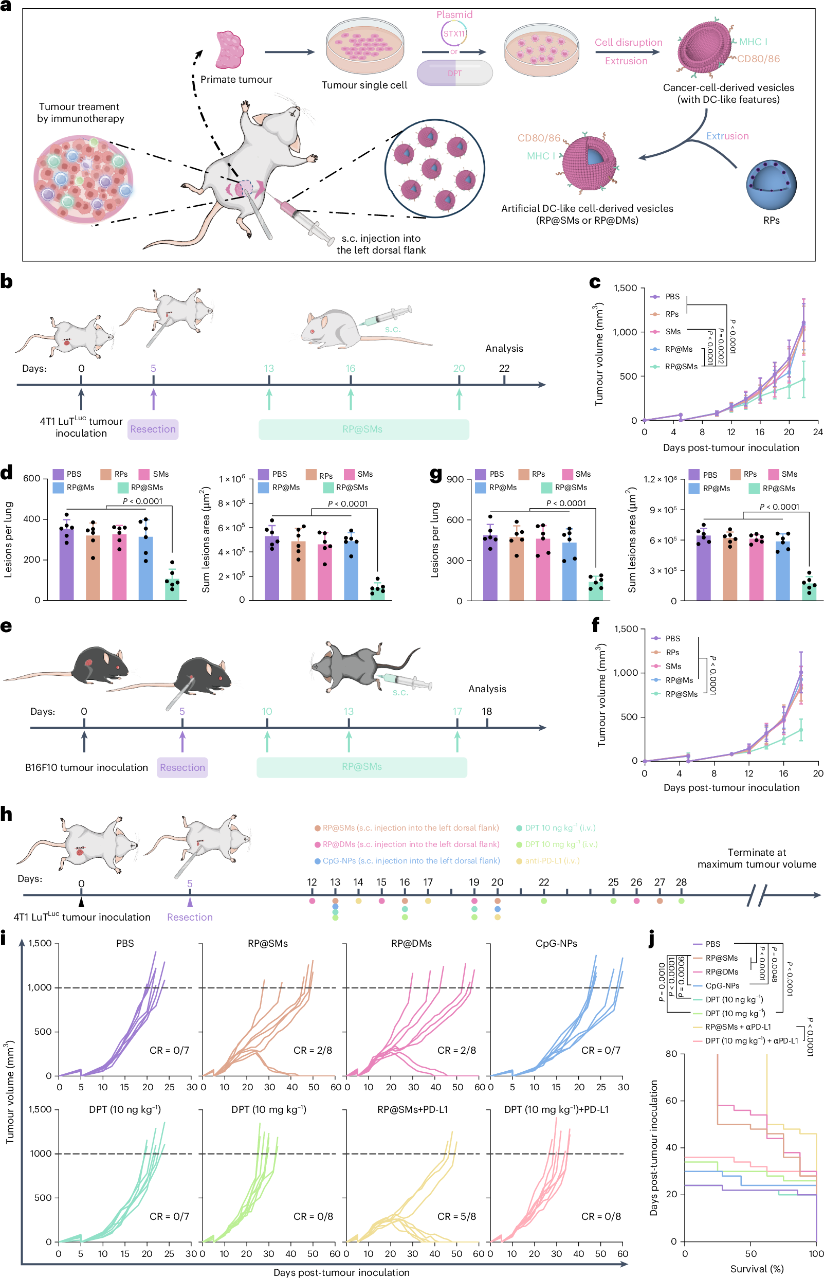 Fig. 6: Personalized autologous vaccine for postoperative metastatic tumour therapy.