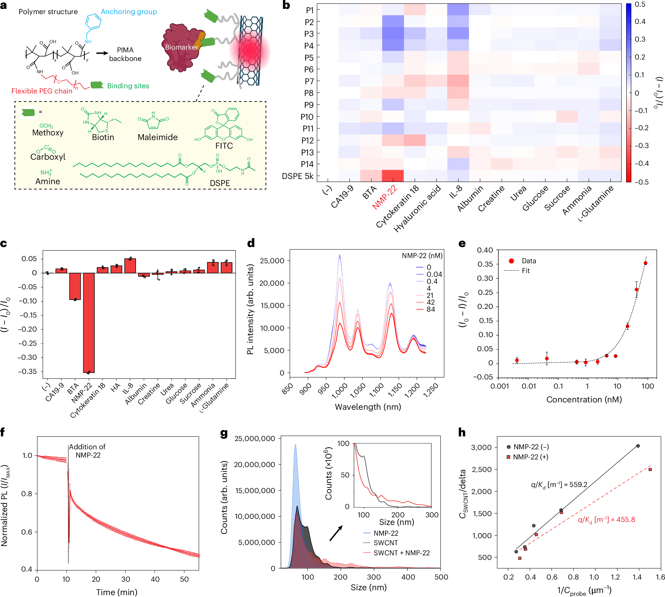New molecular camera could revolutionize bladder cancer screening