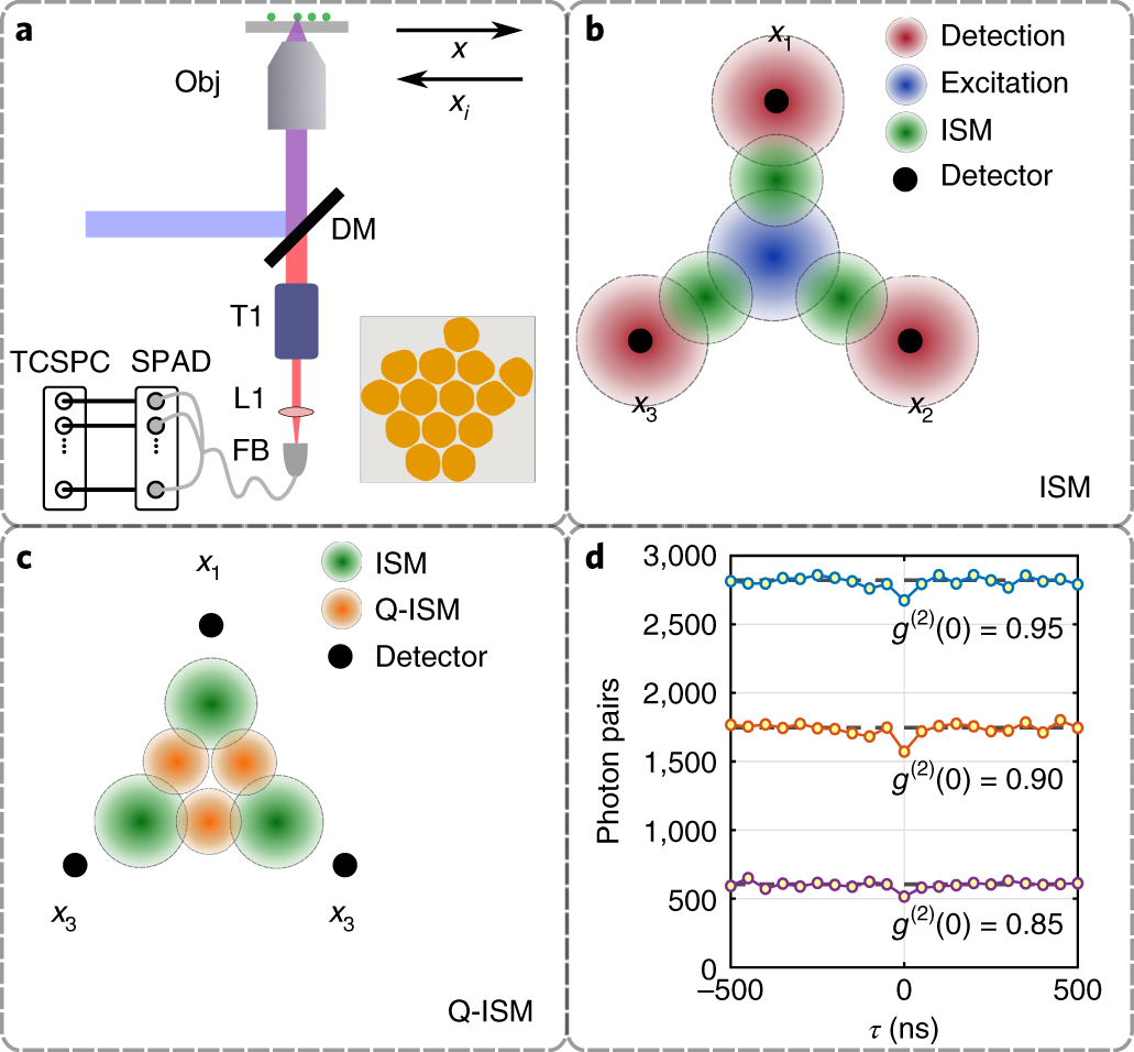 Super Resolution Enhancement By Quantum Image Scanning Microscopy Nature Photonics