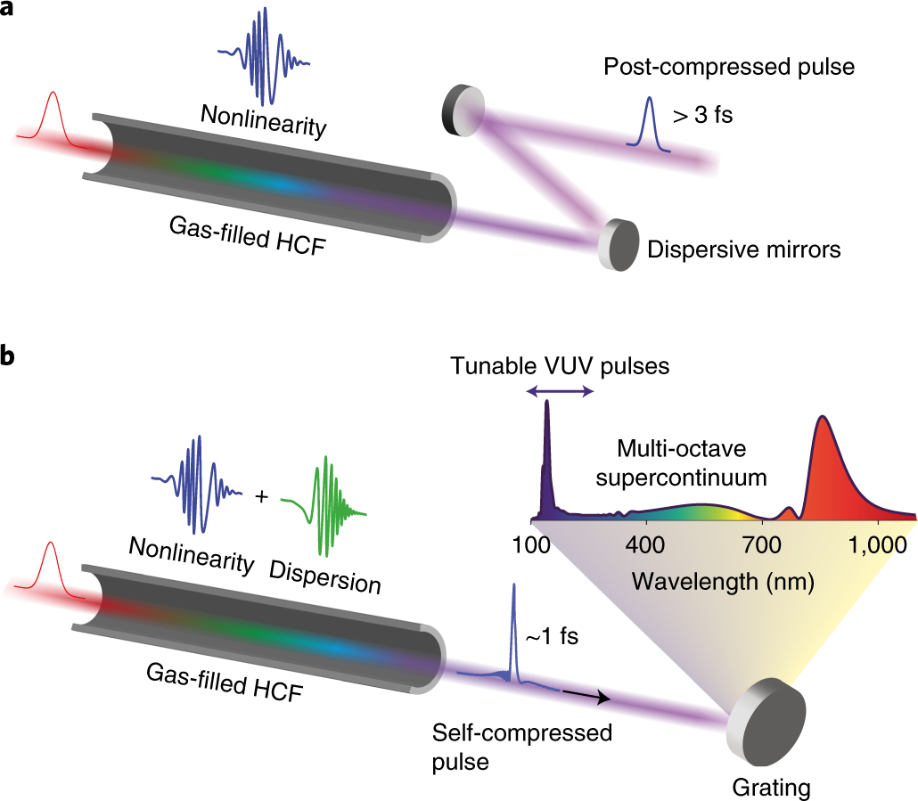 quasi-soliton pulses