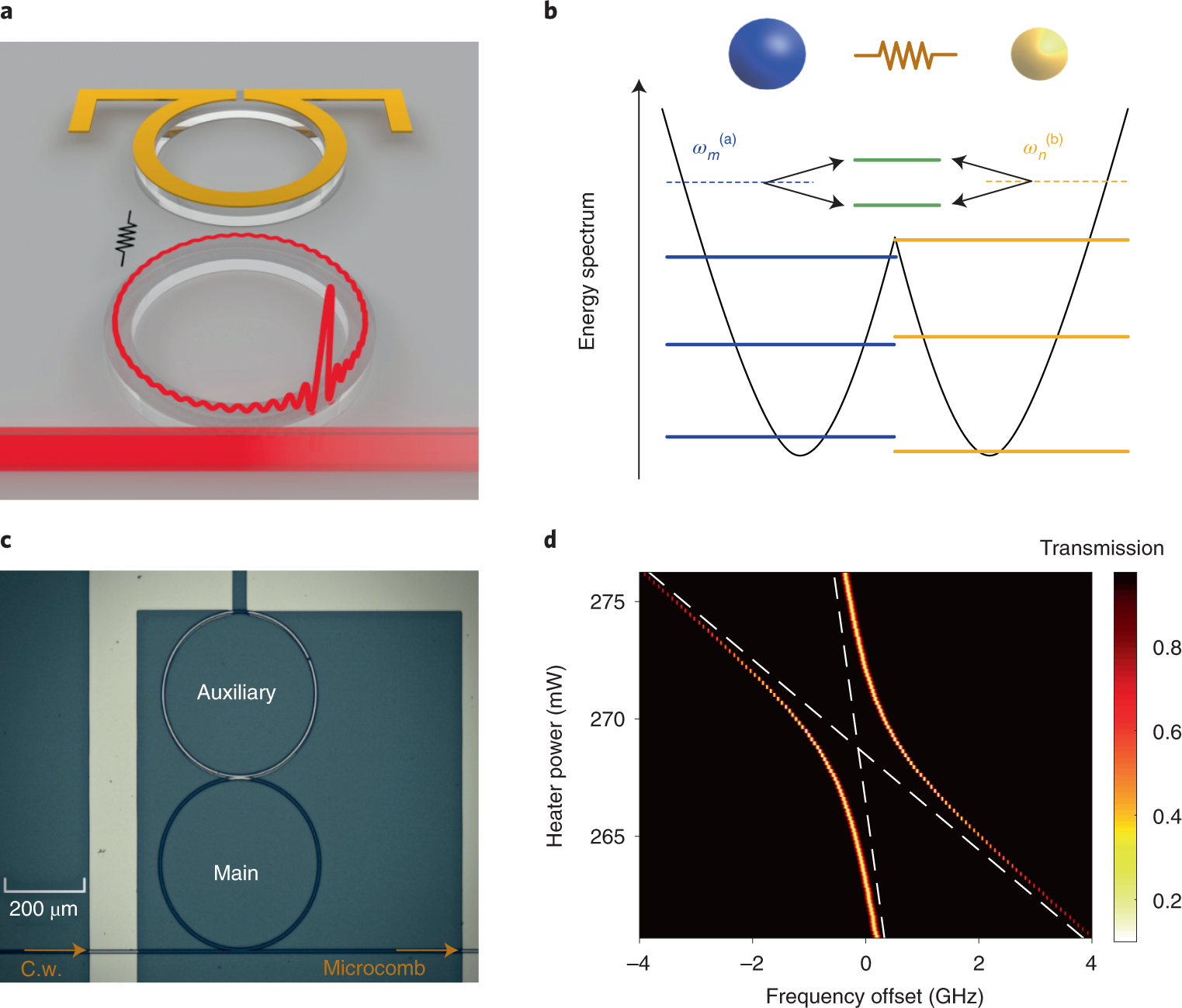 Dissipative solitons in photonic molecules | Nature Photonics