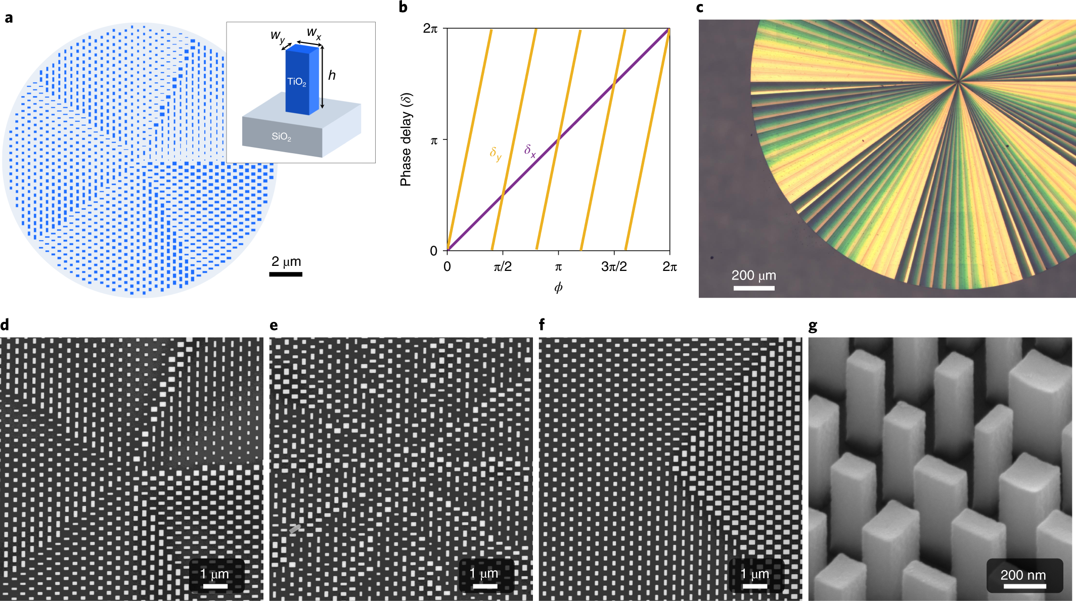 High-purity orbital angular momentum states from a visible metasurface  laser | Nature Photonics