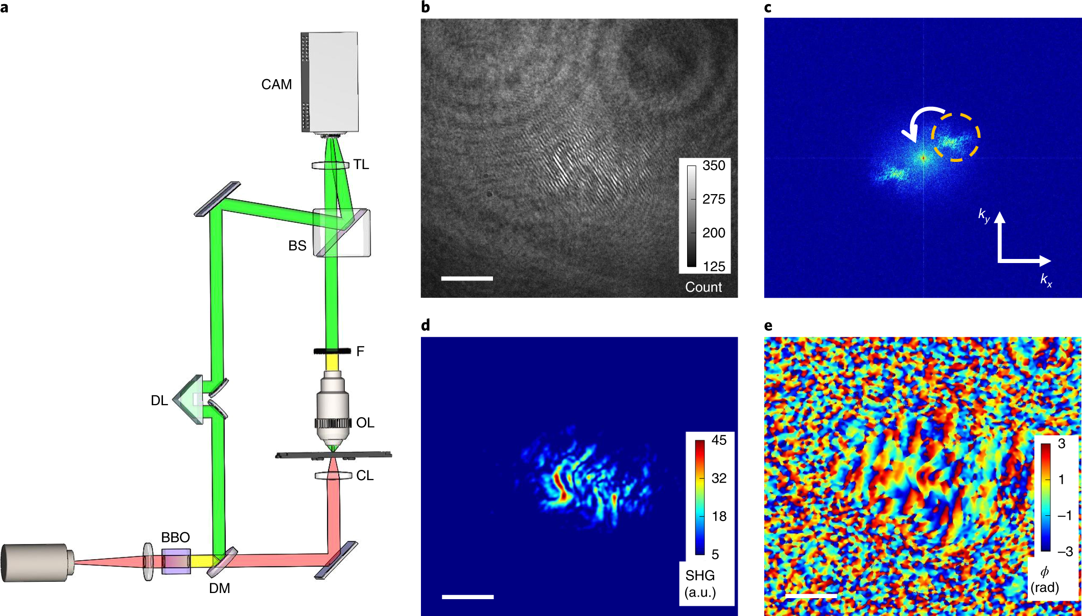 Harmonic optical tomography of nonlinear structures | Nature Photonics