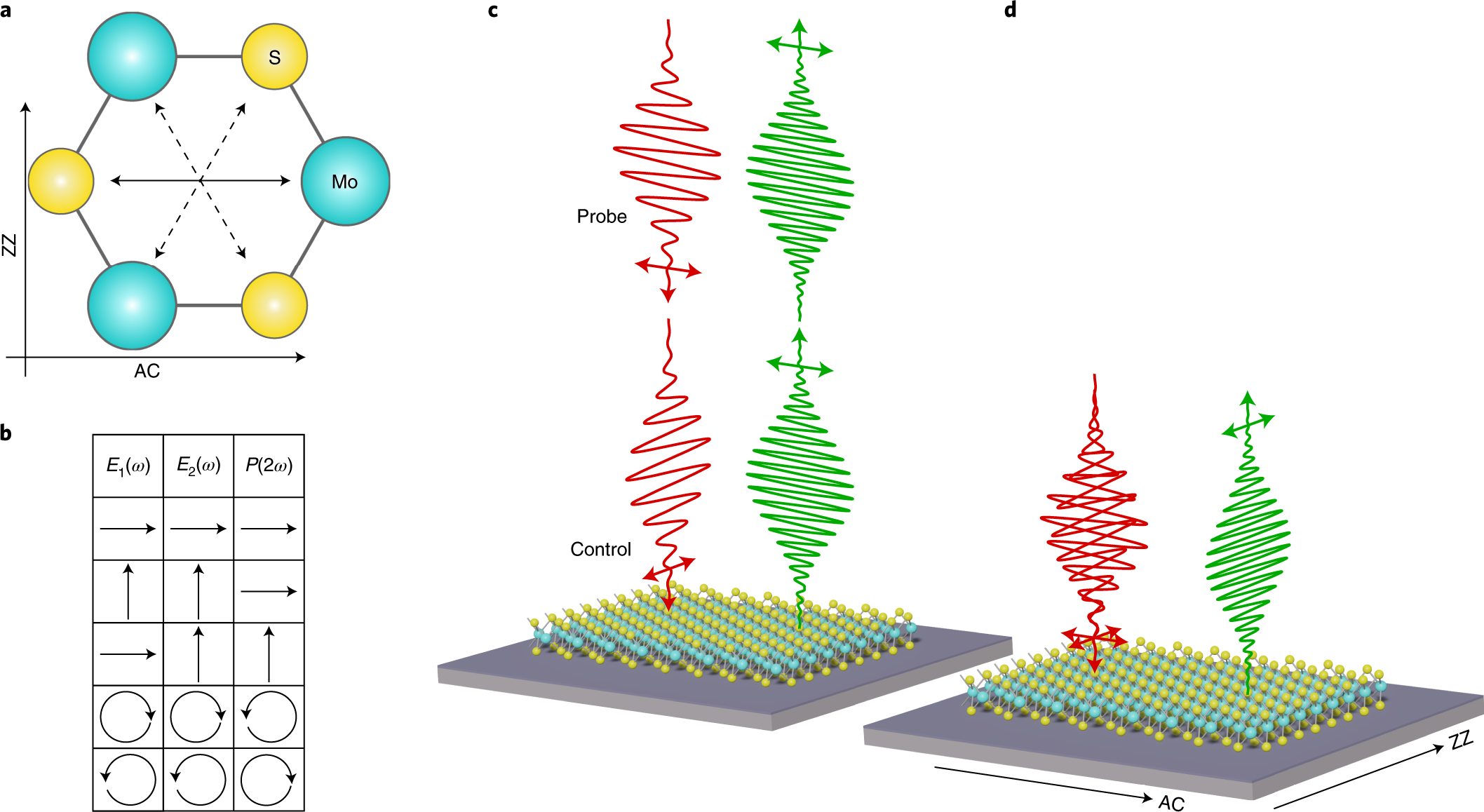 Nonlinear Harmonics in the High-Gain Harmonic Generation (HGHG) Experiment.  - UNT Digital Library