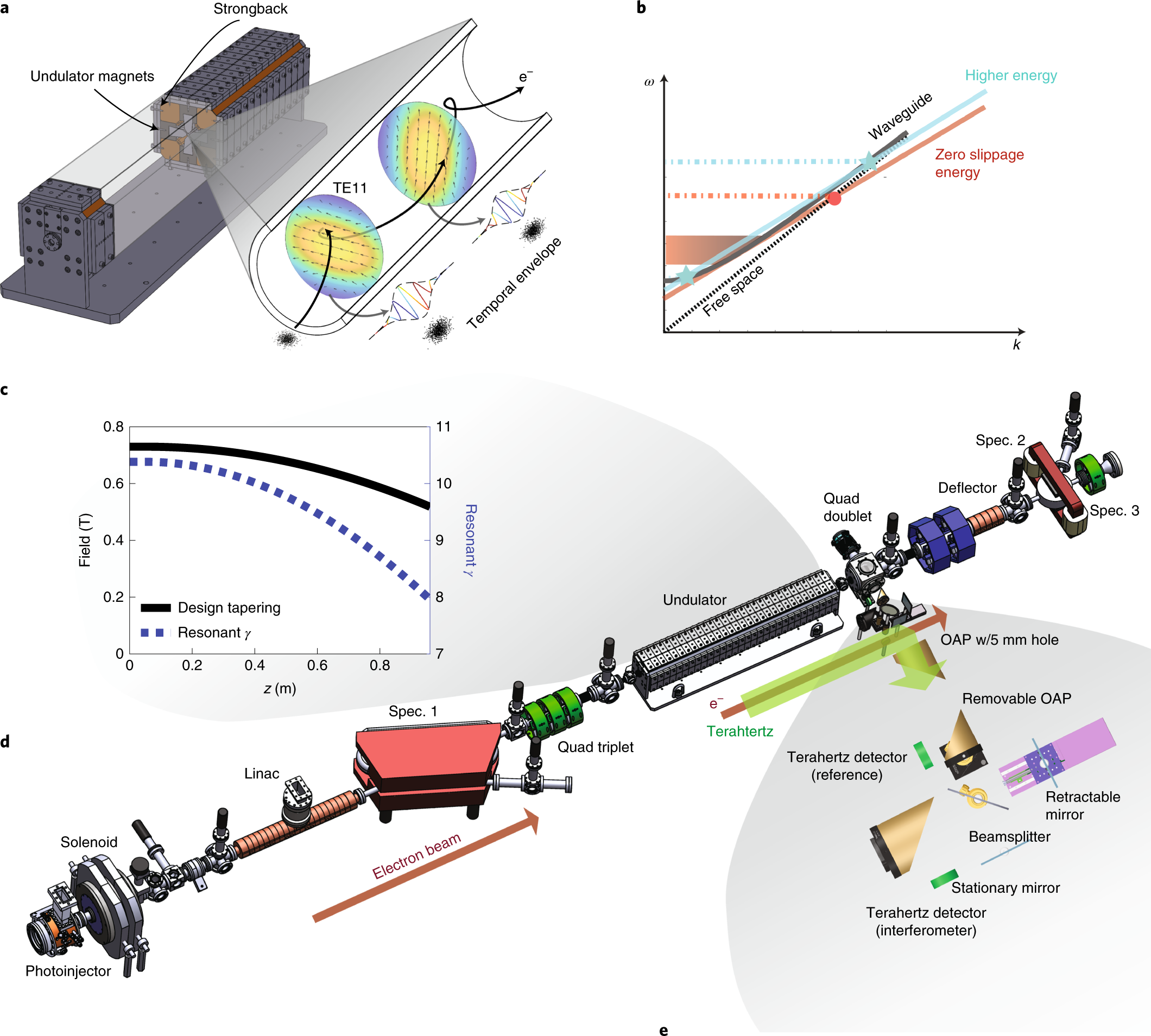 Single-pass high-efficiency terahertz free-electron laser | Nature Photonics