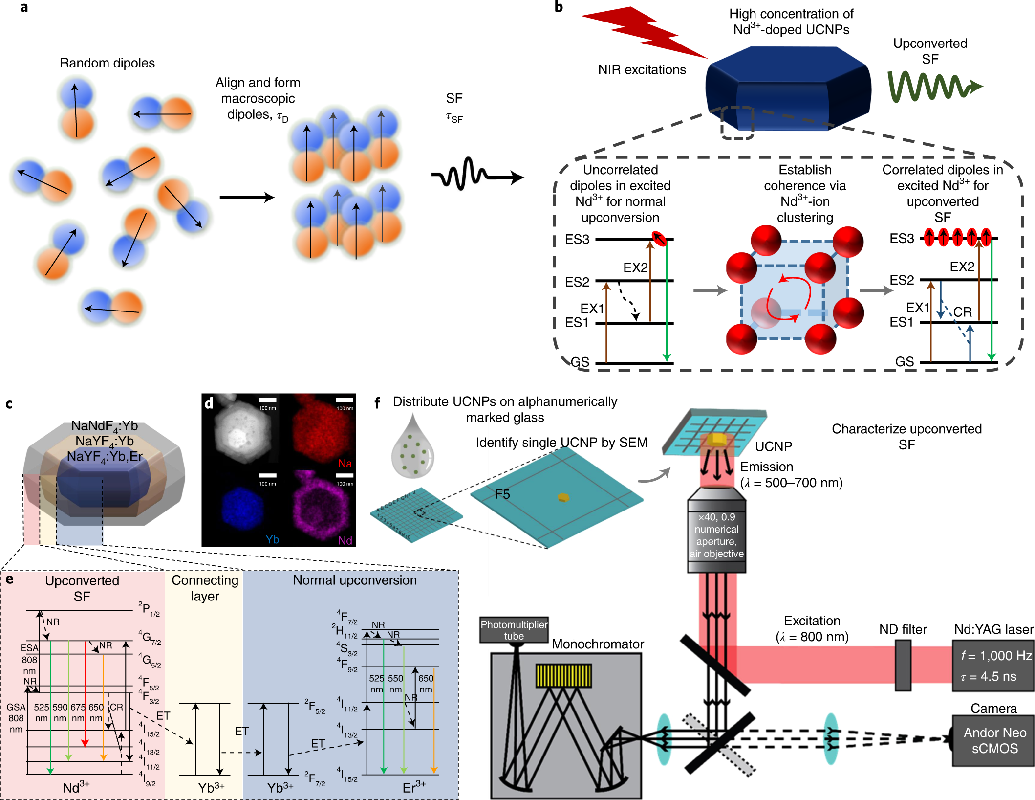superfluorescence