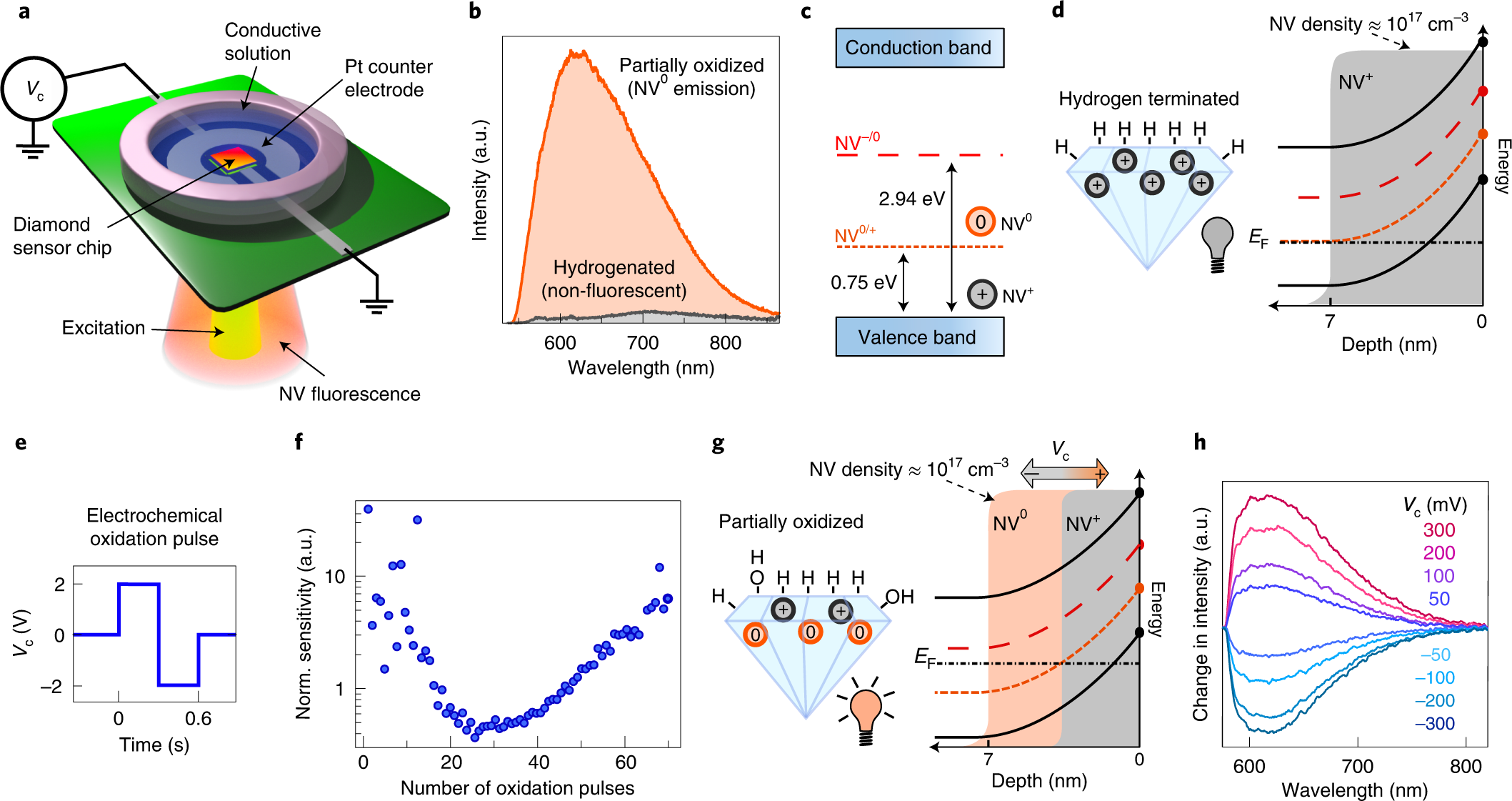 Optical Electrophysiology: Toward the Goal of Label-Free Voltage Imaging