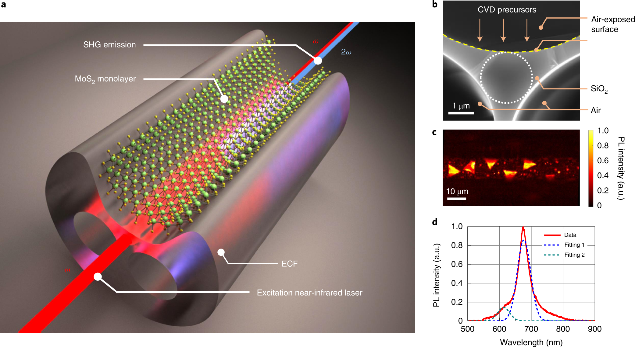 second-harmonic with two-dimensional materials | Nature Photonics