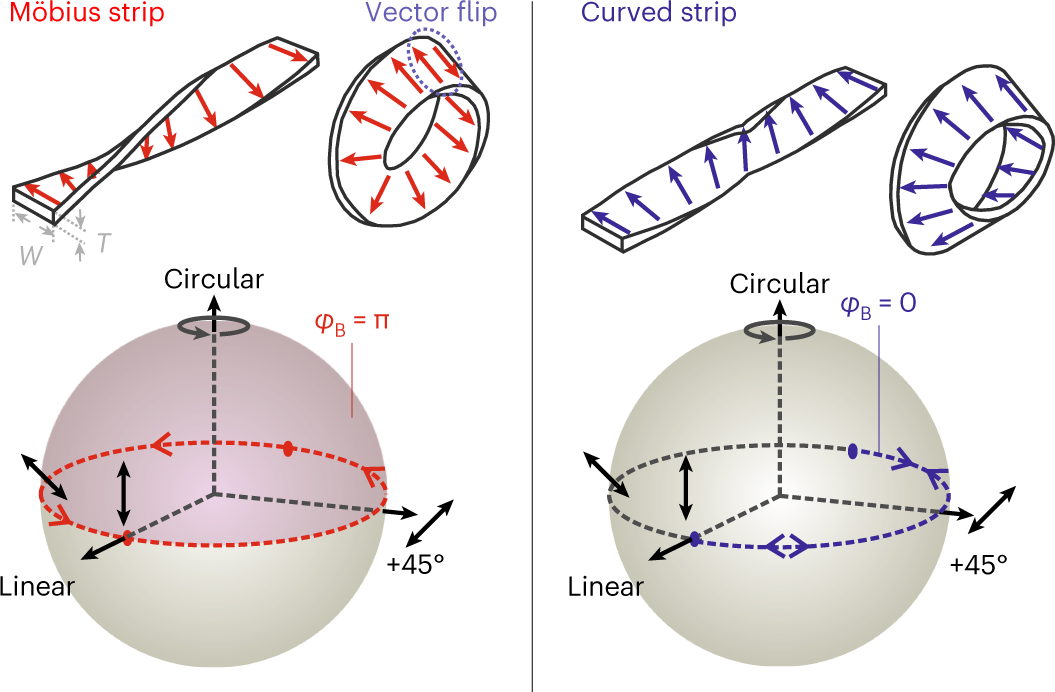 Experimental observation of Berry phases in optical Möbius-strip  microcavities | Nature Photonics