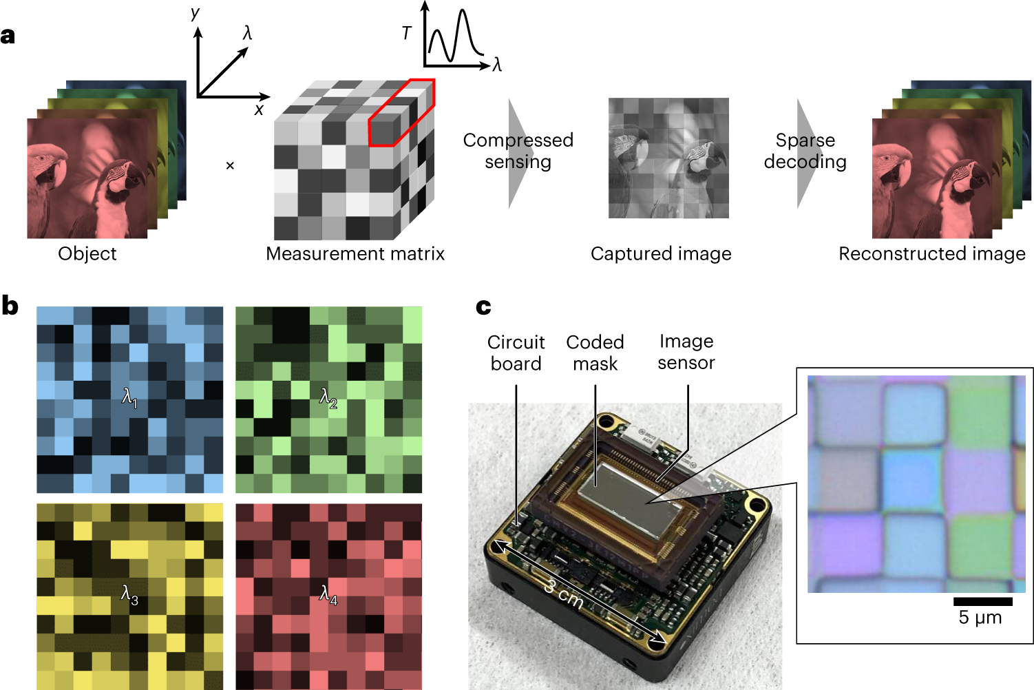 Video-rate hyperspectral camera based on a CMOS-compatible random array of  Fabry–Pérot filters | Nature Photonics (via www.nature.com)