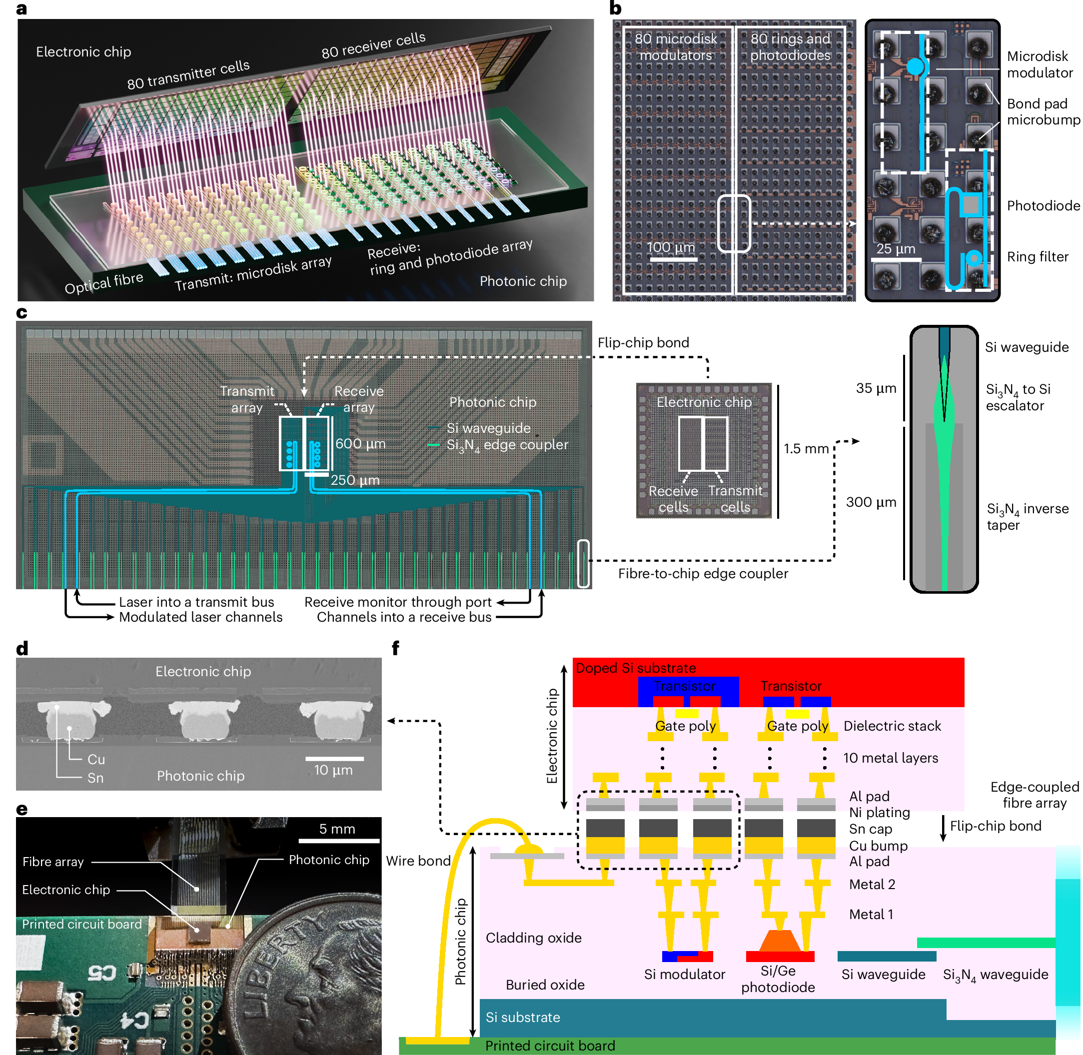 3次元フォトニクスがAIで記録的な性能を発揮するという新しい研究結果(New Study Showcases 3D Photonics with Record Performance for AI)