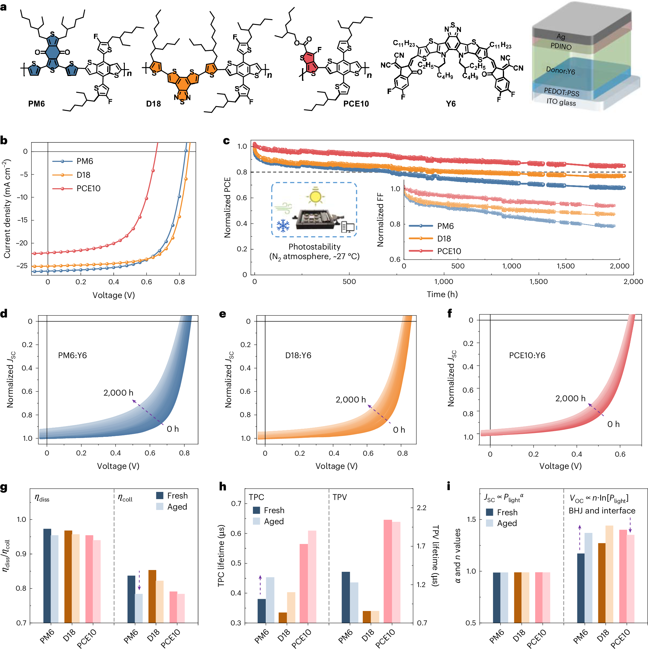 Elucidating the photodegradation pathways of polymer donors for organic solar cells with seven months of outdoor operational stability
