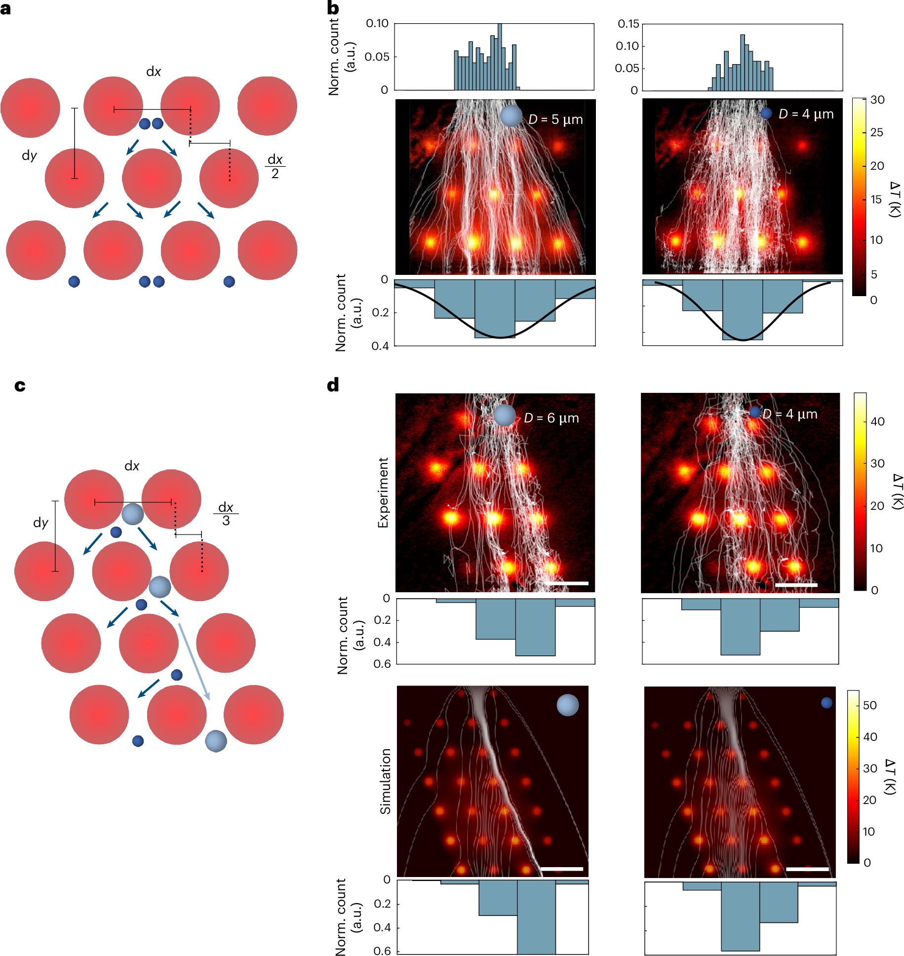 Fig. 4: Reconfigurable particle steering in periodic patterns.