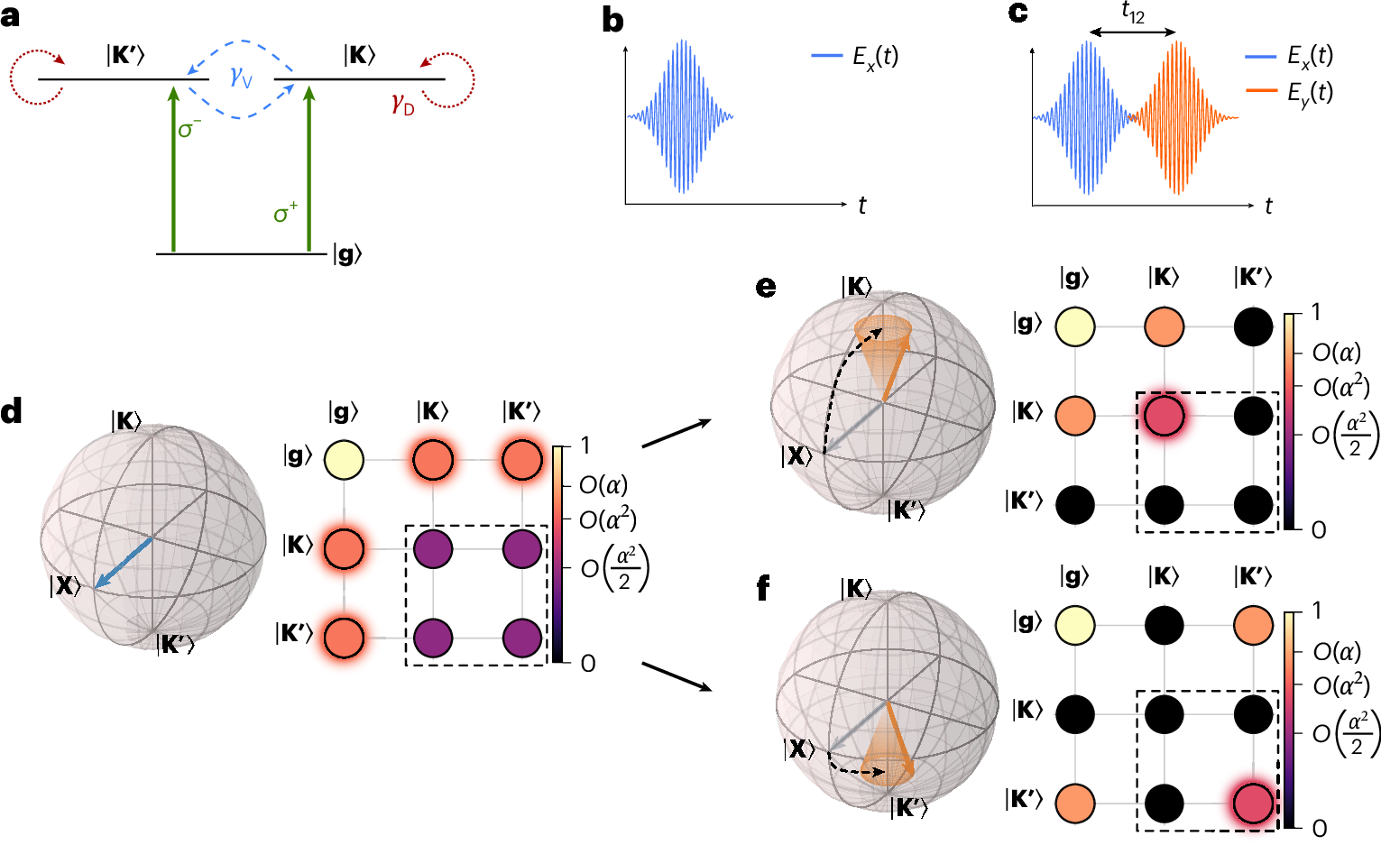 Encoding and manipulating ultrafast coherent valleytronic 