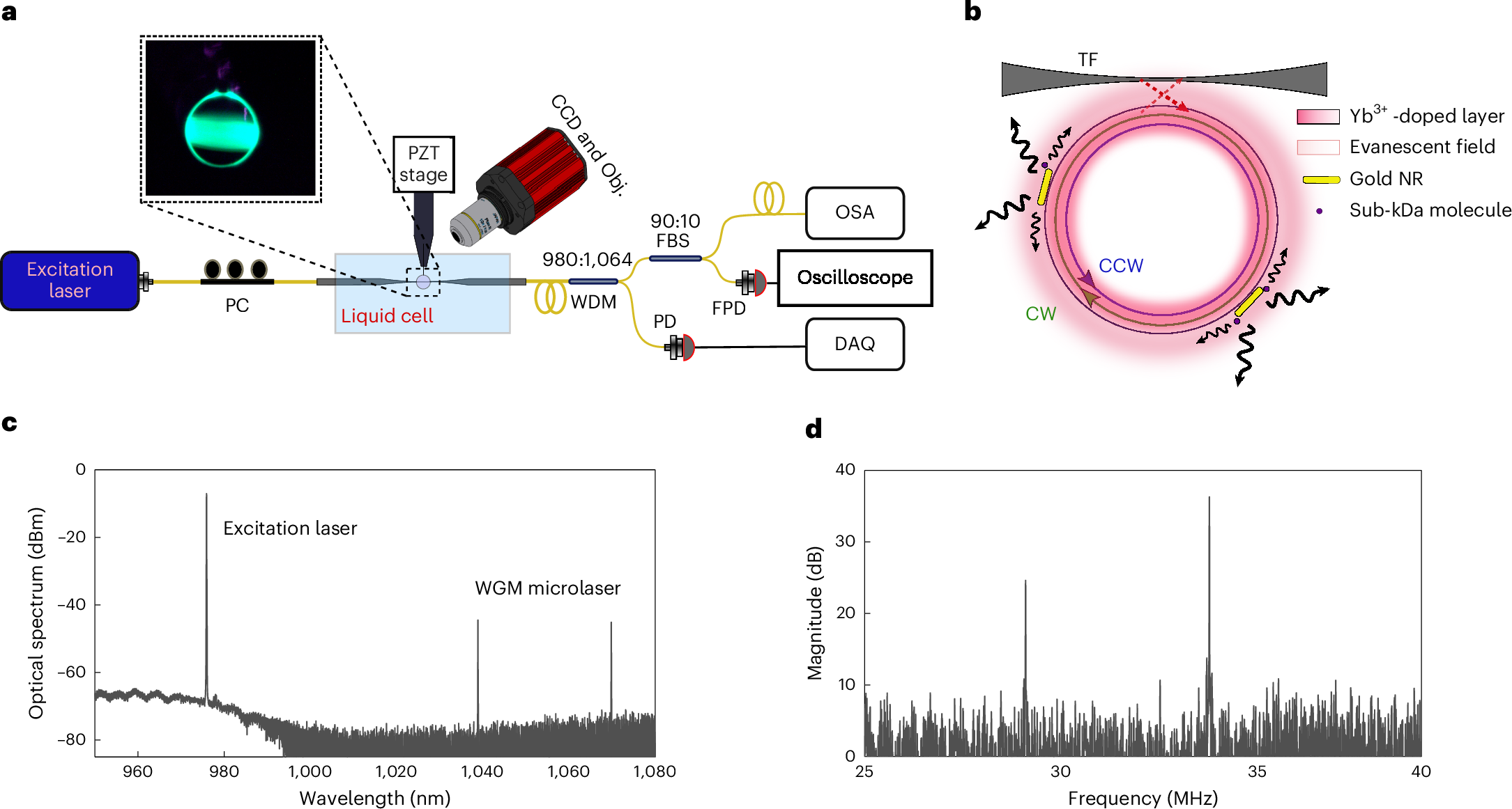Fig. 1: Experimental setup and microlaser mode splitting.