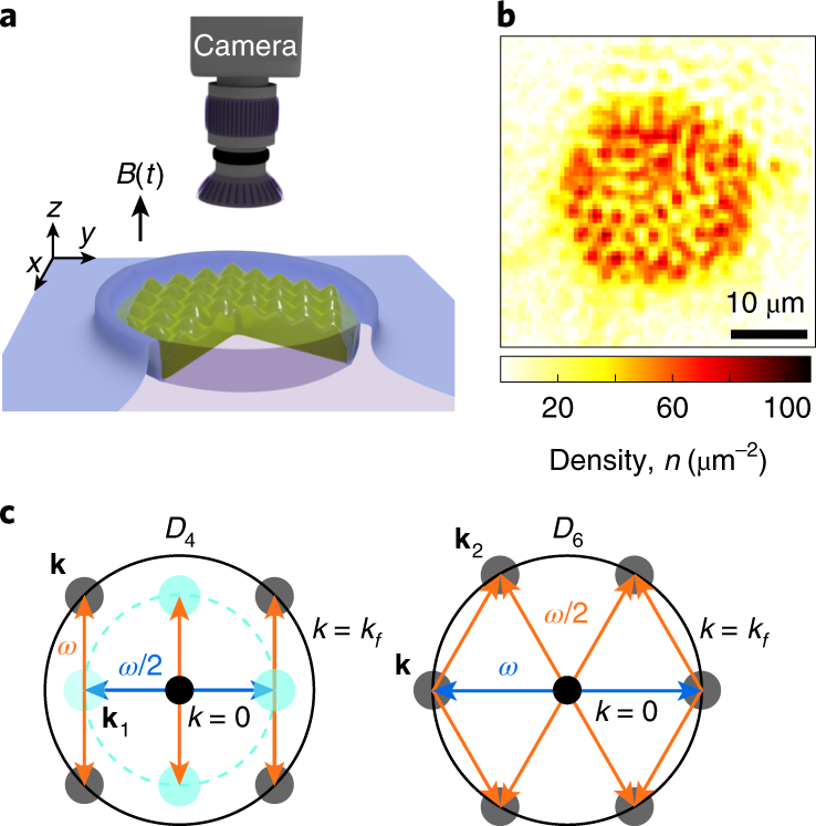Pattern formation in a driven Bose–Einstein condensate | Nature Physics
