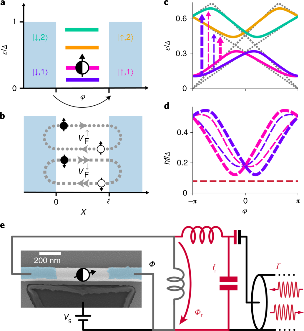 Continuous monitoring of a trapped superconducting spin | Nature Physics