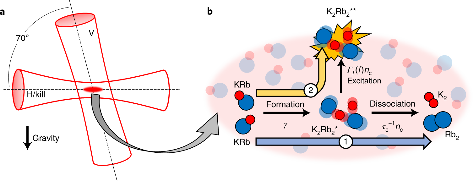 Photo-excitation of long-lived transient intermediates in ultracold  reactions | Nature Physics