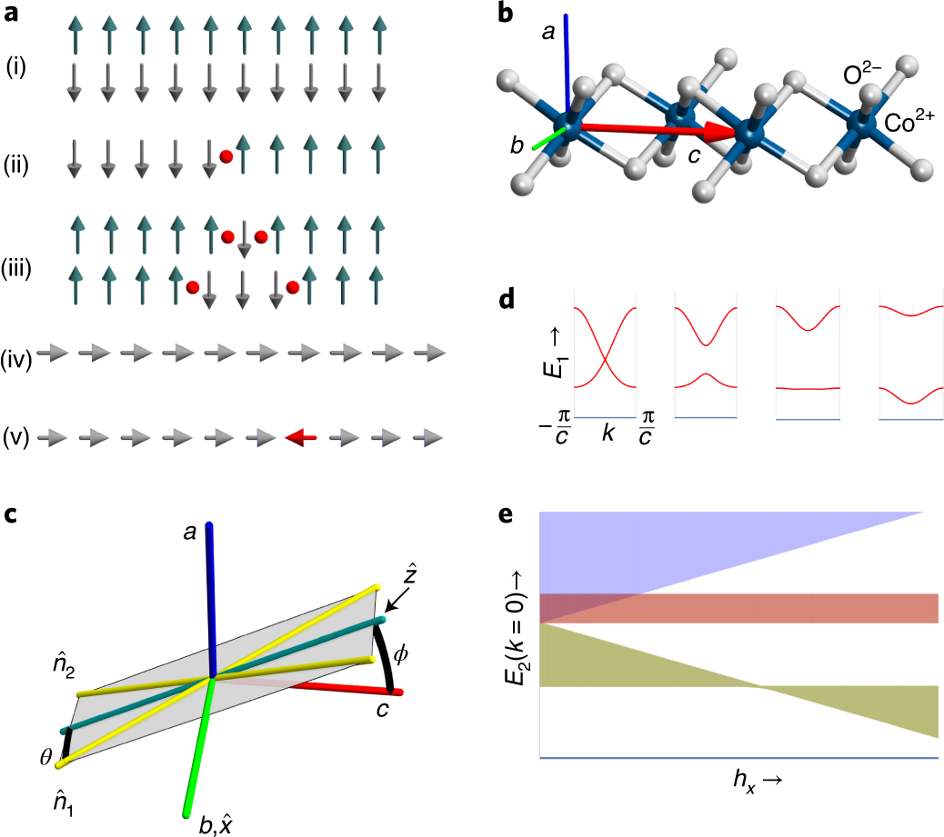 Duality and domain wall dynamics in a twisted Kitaev chain | Nature Physics