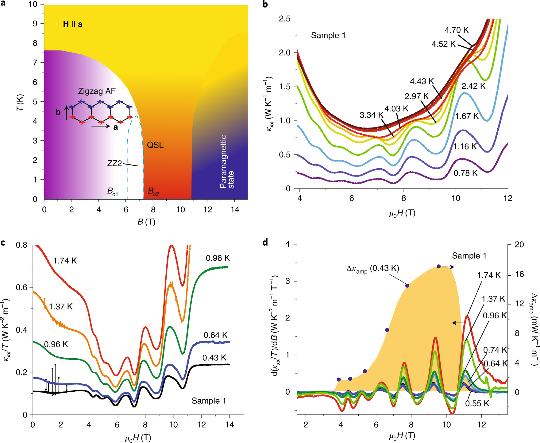 Oscillations of the thermal conductivity in the spin-liquid state of  α-RuCl3 | Nature Physics